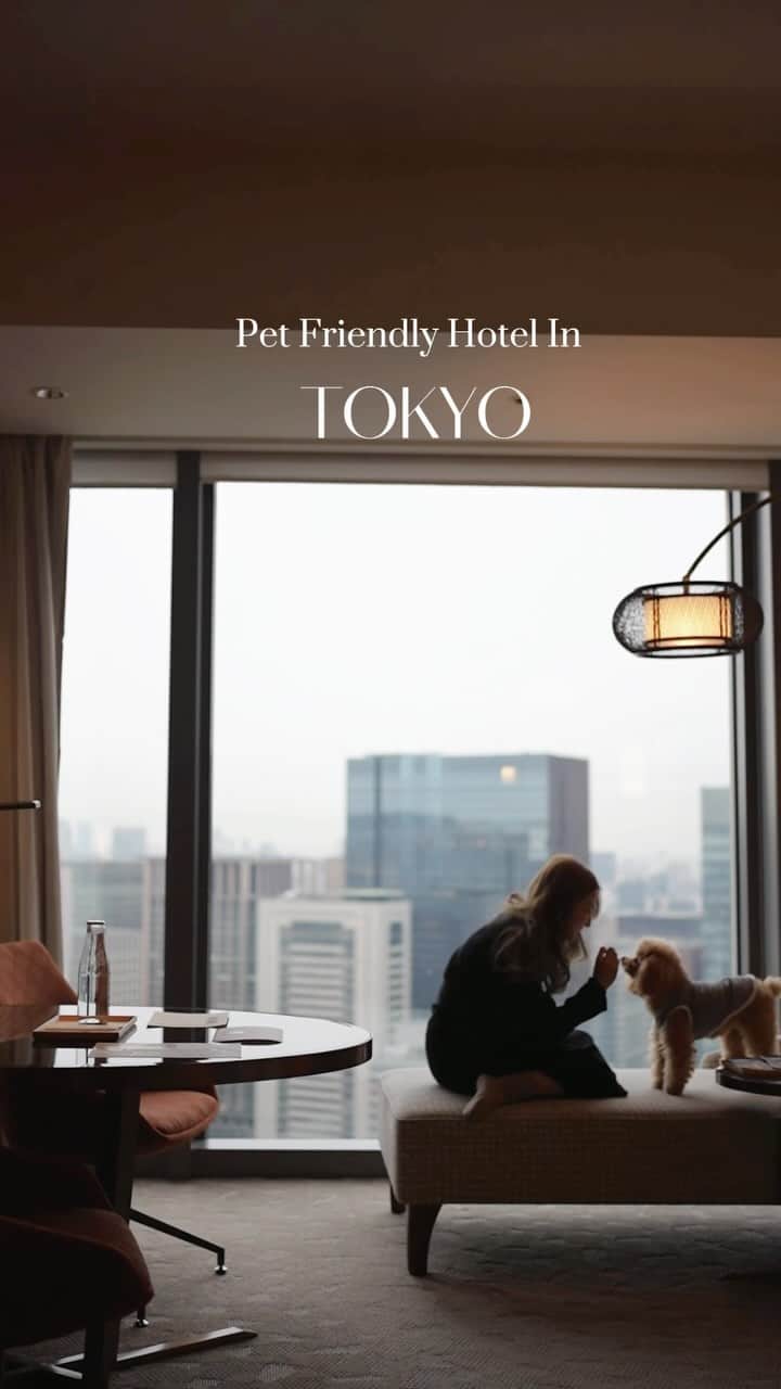 Mandarin Oriental, Tokyoのインスタグラム：「Your puppy deserves a luxurious 5-star stay as well.🐶🤍  @mo_tokyo @mo_hotels   #travelwithdogs #puppylife #dogtravel #petfriendlyhotel #mandarinoriental #Tokyo #Visitjapan」