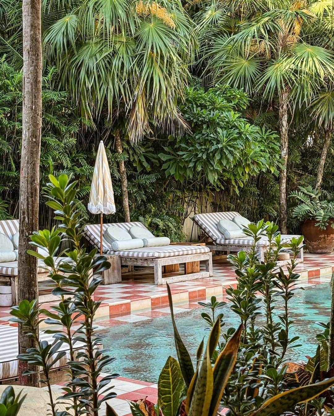 Travel + Leisureのインスタグラム：「Photo by @heydavina 🌴 Tulum is bursting with beautifully designed hotels, gorgeous beaches, and restaurants with great ambiance and even better food. Looking to plan a winter escape? Check out our travel guide at the link in bio.」