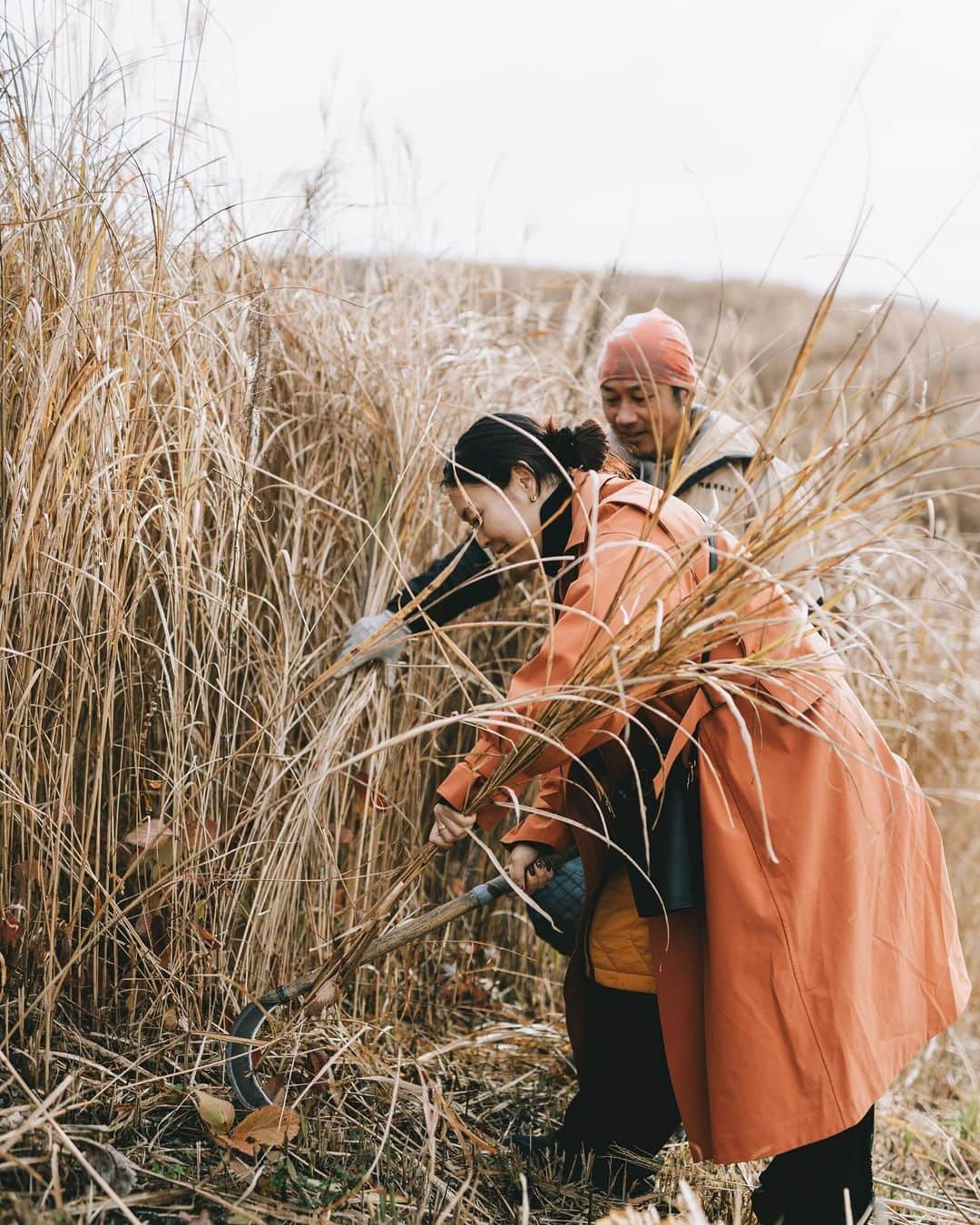 行方 久子 Hisako Namekataさんのインスタグラム写真 - (行方 久子 Hisako NamekataInstagram)「. @asogreenstock 熊本県「阿蘇草原再生プロジェクト」  茅一束は、だいたい直径60センチくらいの太さ。  どうしても自分で刈った茅で一束作りたくて なかなかコツも掴めずに笑っちゃったけど、 丁寧に教えてもらい、見守られながらへっぴり腰で頑張りました。  最後は @shucoを目掛けて全力疾走🤣  写真は @isamu__yamamoto」12月7日 22時26分 - hisakonamekata