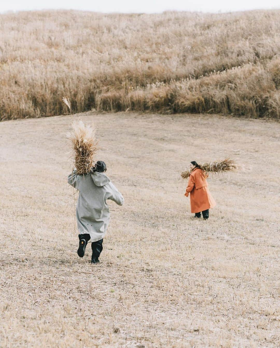 行方 久子 Hisako Namekataさんのインスタグラム写真 - (行方 久子 Hisako NamekataInstagram)「. @asogreenstock 熊本県「阿蘇草原再生プロジェクト」  茅一束は、だいたい直径60センチくらいの太さ。  どうしても自分で刈った茅で一束作りたくて なかなかコツも掴めずに笑っちゃったけど、 丁寧に教えてもらい、見守られながらへっぴり腰で頑張りました。  最後は @shucoを目掛けて全力疾走🤣  写真は @isamu__yamamoto」12月7日 22時26分 - hisakonamekata