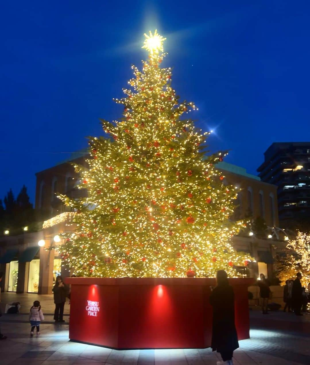 吉田麻衣子さんのインスタグラム写真 - (吉田麻衣子Instagram)「🎄🌟 #christmas  #christmastree  #ebisu #ebisugardenplace  #merrychristmas  #instafollow  #instalike #instagood  #instahappy  #恵比寿ガーデンプレイス  #恵比寿ガーデンプレイスイルミネーション  #クリスマス #クリスマスツリー　 #イルミネーション」12月7日 22時30分 - maiko.yoshida