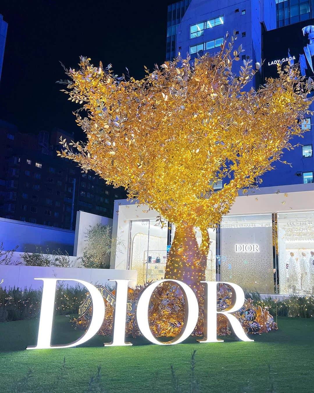 五位渕のぞみのインスタグラム：「やっと一昨日見に行けた😍💕 @dior」