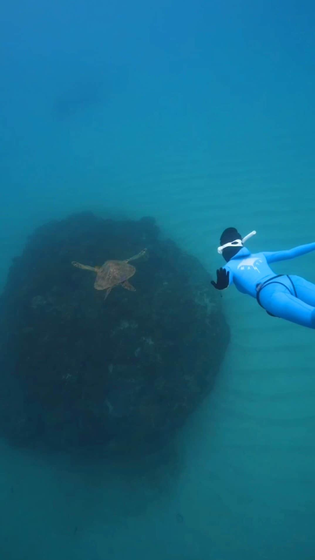 リャン・イーチェン（梁以辰）のインスタグラム：「Free your soul.🫧🐋🌊 #luckydays #freediving #kenting」