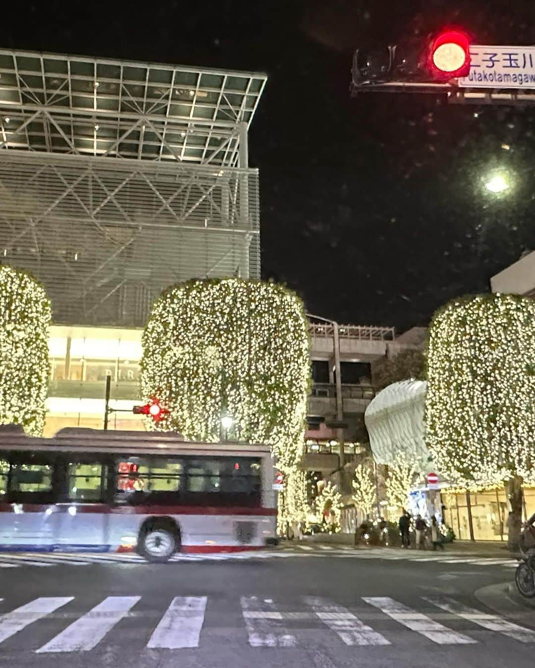 宇梶剛士さんのインスタグラム写真 - (宇梶剛士Instagram)「はい📸パチリ✨に辿り着くまで何十枚撮ったことか。お〜い、くっつきすぎ〜💦あっ！まだダメっ💦おっ、どこいくの〜💦ポツ〜ンじゃん💦ということで、でもないけれど12月6日はノク4歳の誕生日でした。 9月のキト3歳の誕生日がとってもバタバタしていて、ちゃんとしてあげられなかったので(ほぼやる方の満足ですが)合同でお祝いしました。記念写真を撮るのにはたいそう時間をくったけれども、ご馳走を平らげるのは一瞬でした。  二子玉川も表参道も、街は師走の様相ですね。阿寒湖でいただいたトーラサンペ(まりも羊羹)食べちゃぉ♪さぁ今日は金曜日。『フェルマーの料理』第8話は22時から始まります。岳の親父は10枚目のあそこにおります🍀  #誕生日 #記念撮影 #チワワ #まりも羊羹 #師走の街 #フェルマーの料理 #TBS系列」12月8日 12時52分 - ukajiii