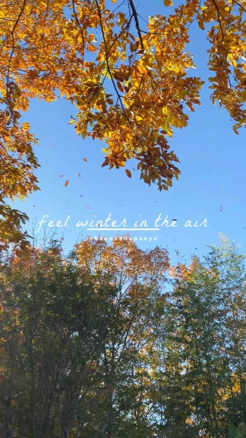 丘の上のパン屋 のインスタグラム：「2023.12.08  丘の上のパン屋です。  日に日に寒くなってきていますね。 風も冷たくなってきて、冬の足跡が近づいてまいりました。 朝晩は冷え込み、風も冷たさを増しています。冬の季節の到来を感じさせられる日々です。  香り高い焼きたてパンや、あたたかい飲み物で心地よいぬくもりをお届けしたいと考えております。皆さまをお迎えできることを心より楽しみにしております。」