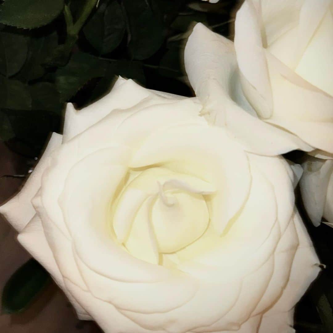 Macarena Achagaのインスタグラム：「regalar flores nunca pasa de moda.  llenarle la casa de flores a tu novia, menos.」