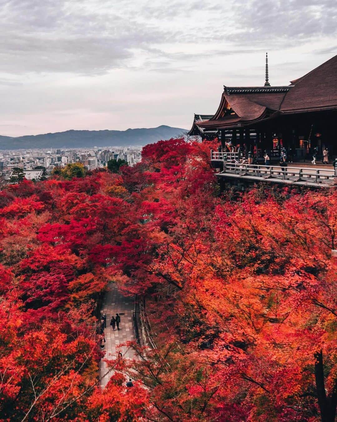 エイチ・アイ・エスさんのインスタグラム写真 - (エイチ・アイ・エスInstagram)「＼真っ赤なヤマモミジが圧巻🍁／  京都の清水寺は紅葉シーズンになると 境内に1,000本以上植えられているヤマモミジが 真っ赤に色づきます😊🍁  例年見頃は11月下旬～12月上旬☝️ これから行かれる人は紅葉情報を チェックしてから行ってみてね～🧐🧡  …………………………………………………………… 📍 #京都 #清水寺 📸 @vic_nkt さん  長い間海外に住んでいたことから、 なかなか行けなかった秋の京都にやっと行けました。 清水寺を彩る紅葉は圧巻でした！ ……………………………………………………………  旅先探しのヒントは こちらをチェック▶︎▶︎▶︎ @his_japan  —————— 📷旅のお写真募集中✈️ ——————  皆さんの旅の思い出は、@his_japan OR #his_japan2023 を付けてシェアしてください🙌 過去PICもOKです❗️  集まったお写真は、HISのSNSやオウンドメディアでご紹介🙆‍♀️  #旅の思い出 #国内旅行 #京都観光スポット #京都おすすめ #紅葉  #次の旅先リスト #旅行好きな人と繋がりたい #写真好きな人と繋がりたい #旅したくなるフォト #旅スタグラム #インスタトラベル #女子旅 #ひとり旅 #カップル旅 #家族旅行 #instatravel #instapassport #photooftheday #instaphotography #worldtravelpics #worldtraveler #japantravelphoto #kyototrip #KiyomizuderaTemple」12月8日 18時00分 - his_japan