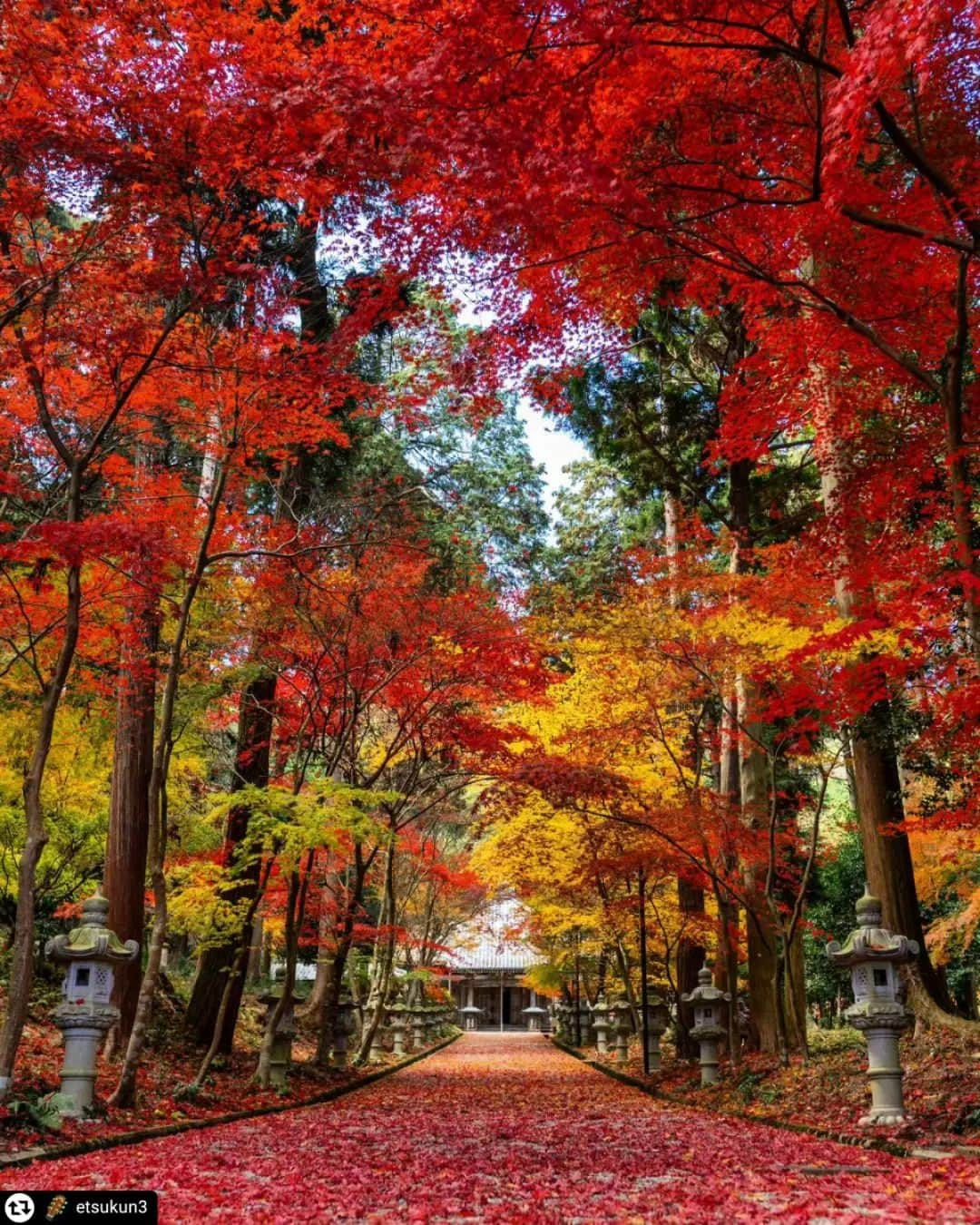 兵庫県のインスタグラム