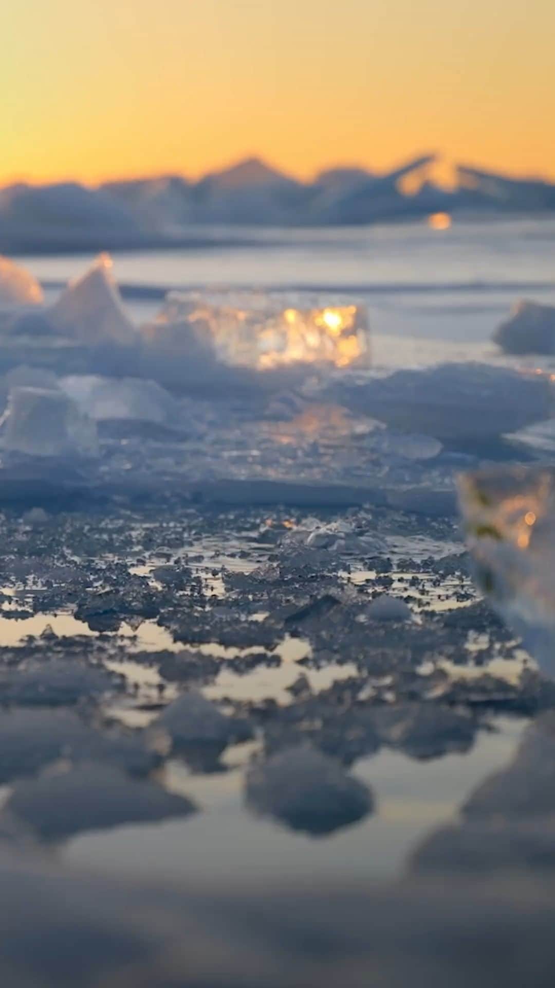 The New Yorkerのインスタグラム：「In Samantha Sanders’s (@samjsand) documentary “Swimming Through,” three women engage in a morning ritual: immersing themselves in extremely cold water. The trio’s sunrise plunge began during the depths of the pandemic, when vaccines weren’t widely available and most people were still isolating at home. Swimming gave the women a way to connect and turned them into friends. “Everything that is wrong or stressful just dissipates,” one of the women says, in the film. At the link in our bio, watch the short documentary in its entirety.」