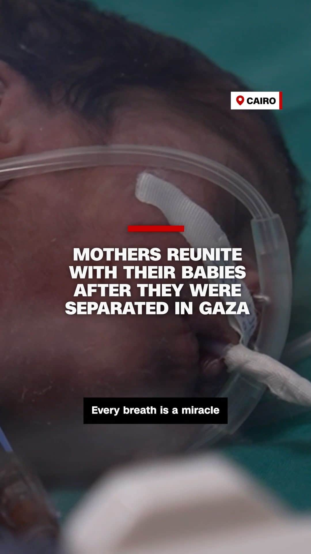 CNNのインスタグラム：「Premature babies who were evacuated from Gaza after Israel ordered the evacuation of the Al-Shifa hospital are now in Cairo, Egypt. The babies are recovering, but most of their parents are yet to be found.  CNN's Larry Madowo speaks with a mother who was reunited with her baby.」