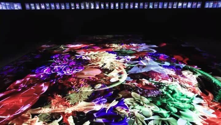 東信のインスタグラム：「“A Chaotic Garden” in NGV @ngvmelbourne  Triennial  Date: 3 Dec, 2023 - 7 Apr, 2024 Location: Melbourne, Australia  Come and explore!  #azumamakoto #amkk #東信花樹研究所 #NGV #NGVtriennial #Melbourne #blockflowers #droptime」