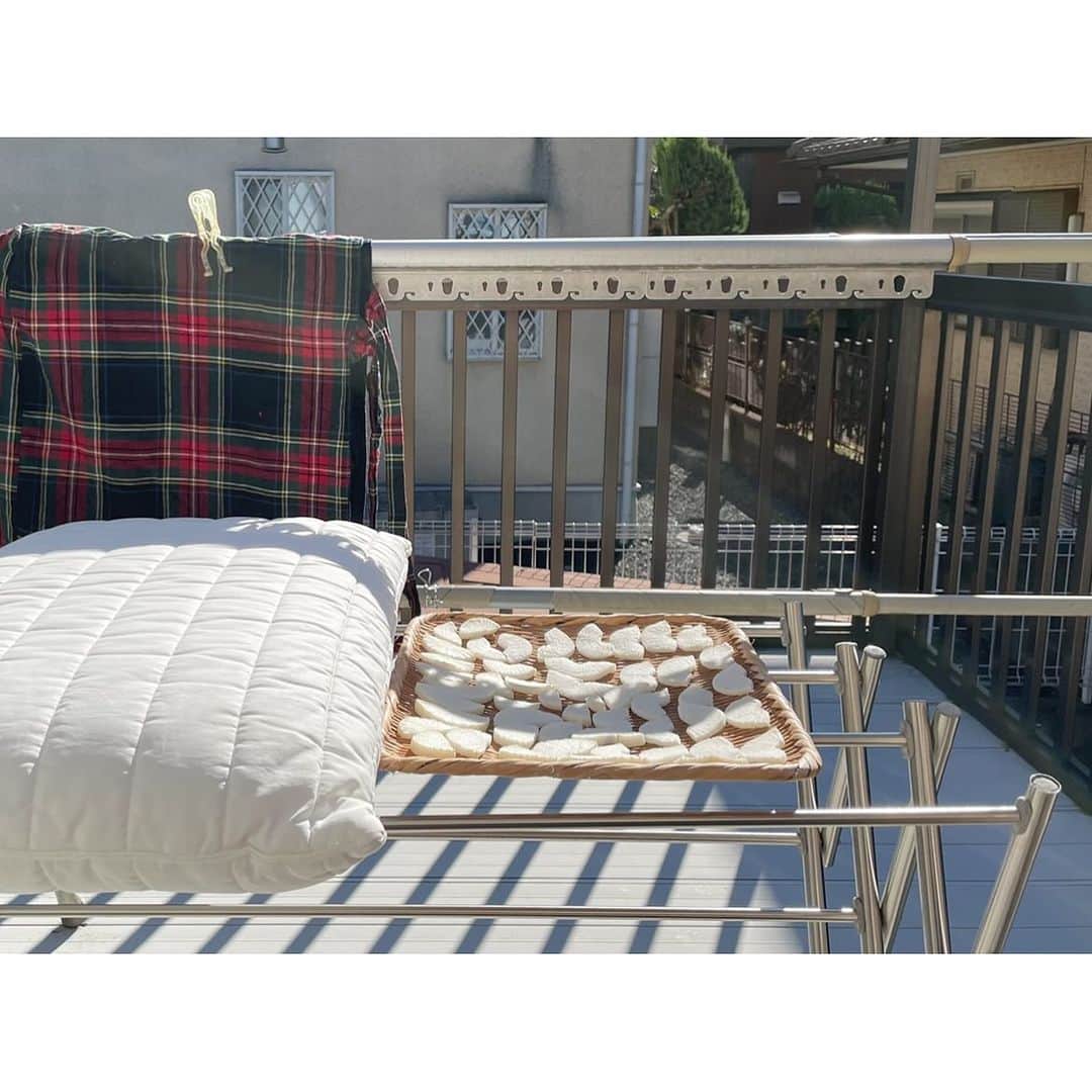 井山三希子さんのインスタグラム写真 - (井山三希子Instagram)「・ 昨日は風が強かった 大根、枕、服も飛ばずでしたが 今日も洗濯日和、毛布を洗うか」12月8日 8時21分 - nikoyagi