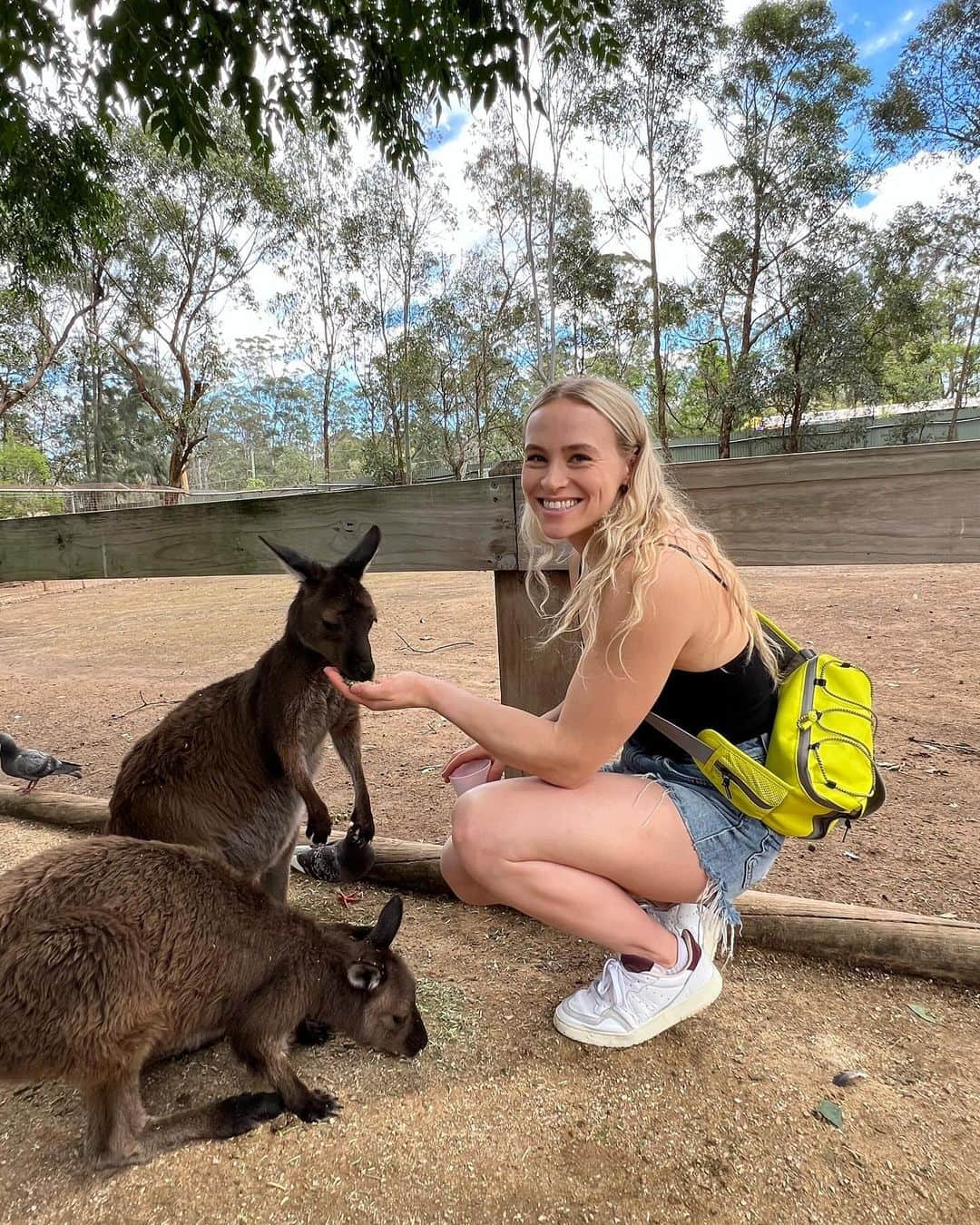 エリー・ブラックのインスタグラム：「Ellie + kangaroos = pure happiness 🦘💕」