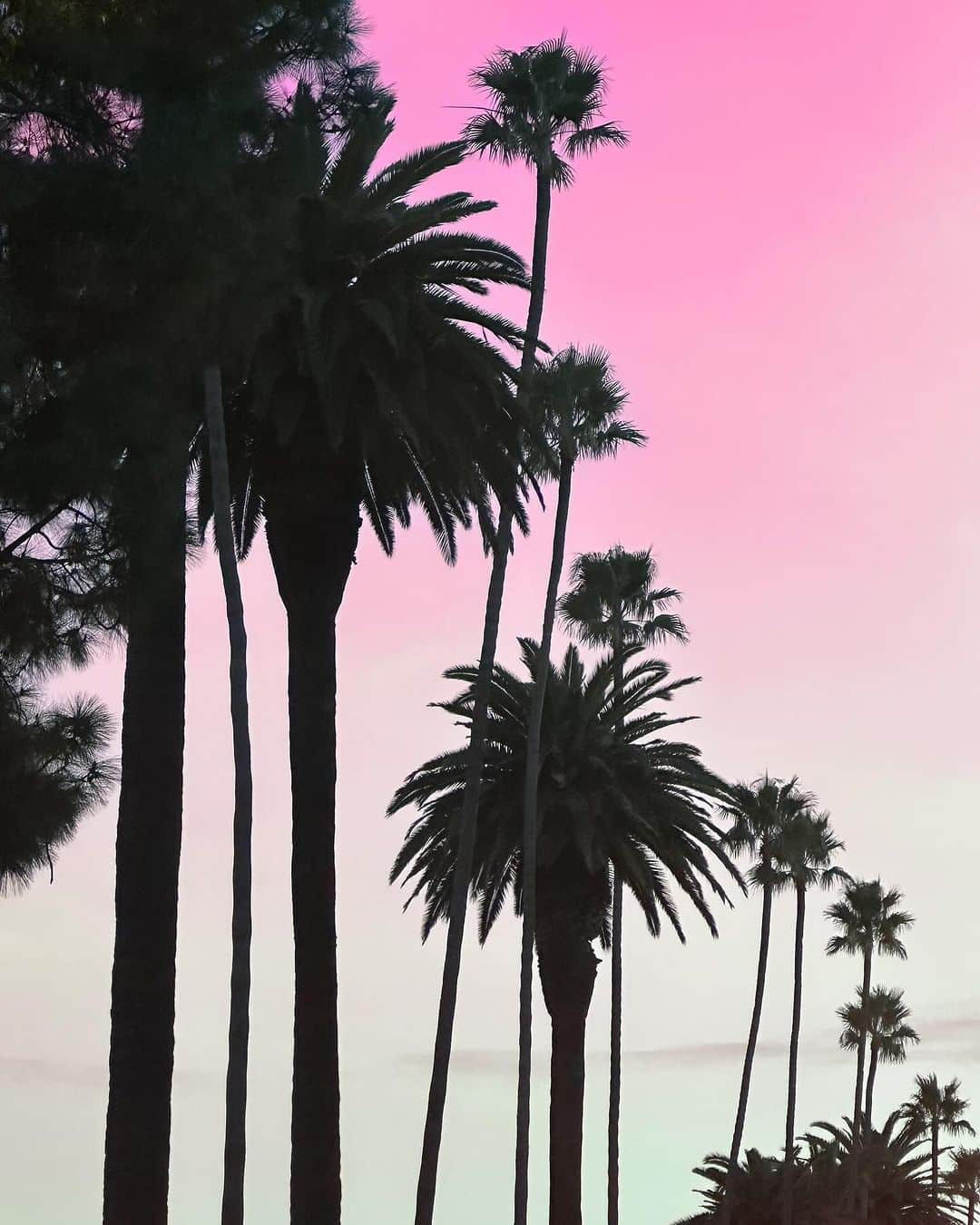 アン・カーティスのインスタグラム：「instant ost with this view. 🌴」