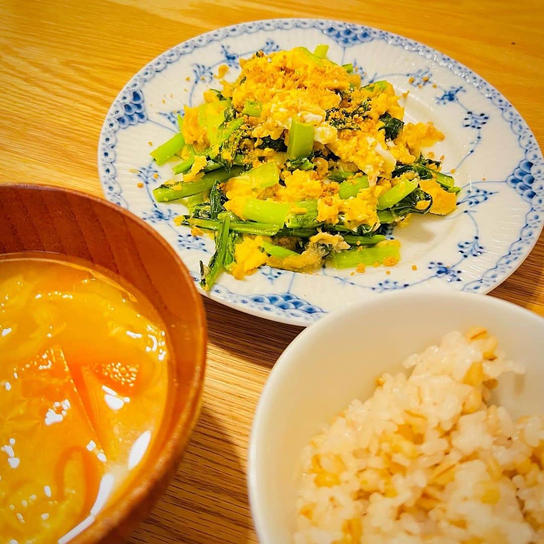 竹井亮介のインスタグラム：「2023年12月8日。 ツナと小松菜とたまごの炒め 白菜とにんじんとおあげさんのお味噌汁 麦ごはん  #とっつぁん料理」