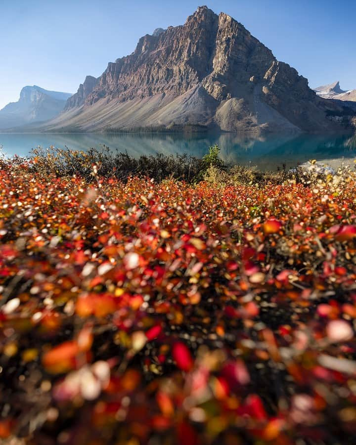 National Geographic Travelさんのインスタグラム写真 - (National Geographic TravelInstagram)「Photo by Kahli Hindmarsh @kahliaprilphoto | Foliage bursting with fall color lines the shores of this mountain lake in Banff. It’s a place where temperatures can swing 70 degrees throughout the year, completely transforming the landscape. Follow me @kahliaprilphoto for more breathtaking landscapes from around the world.」12月8日 9時59分 - natgeotravel