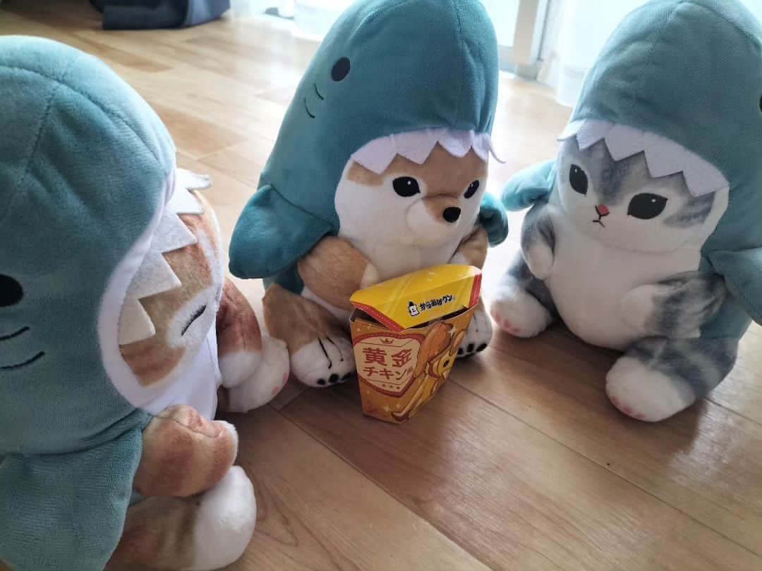 紗咲愛美のインスタグラム：「朝のおさんぽでサメたちにからあげくん買ってあげました🐔 サメわん独り占め🐕🍗 #からあげくん #黄金チキン味」