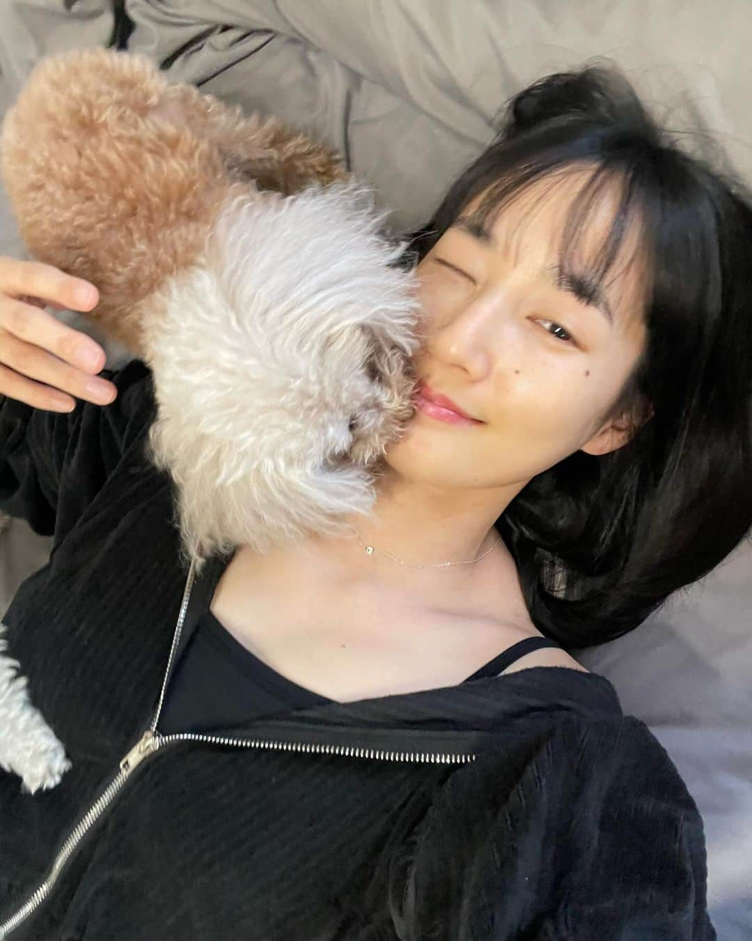 高嶋香帆さんのインスタグラム写真 - (高嶋香帆Instagram)「家では、横になるとお犬たちが大喜びで集ってくれます。🐶 なので主はほぼ横になって生活しております。」12月8日 22時18分 - kaho_takashima