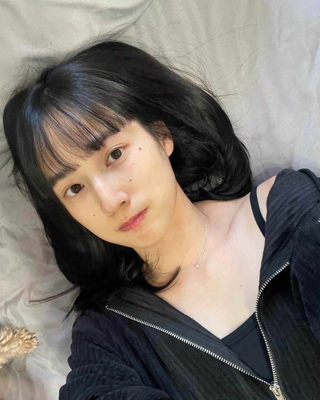 高嶋香帆のインスタグラム：「家では、横になるとお犬たちが大喜びで集ってくれます。🐶 なので主はほぼ横になって生活しております。」