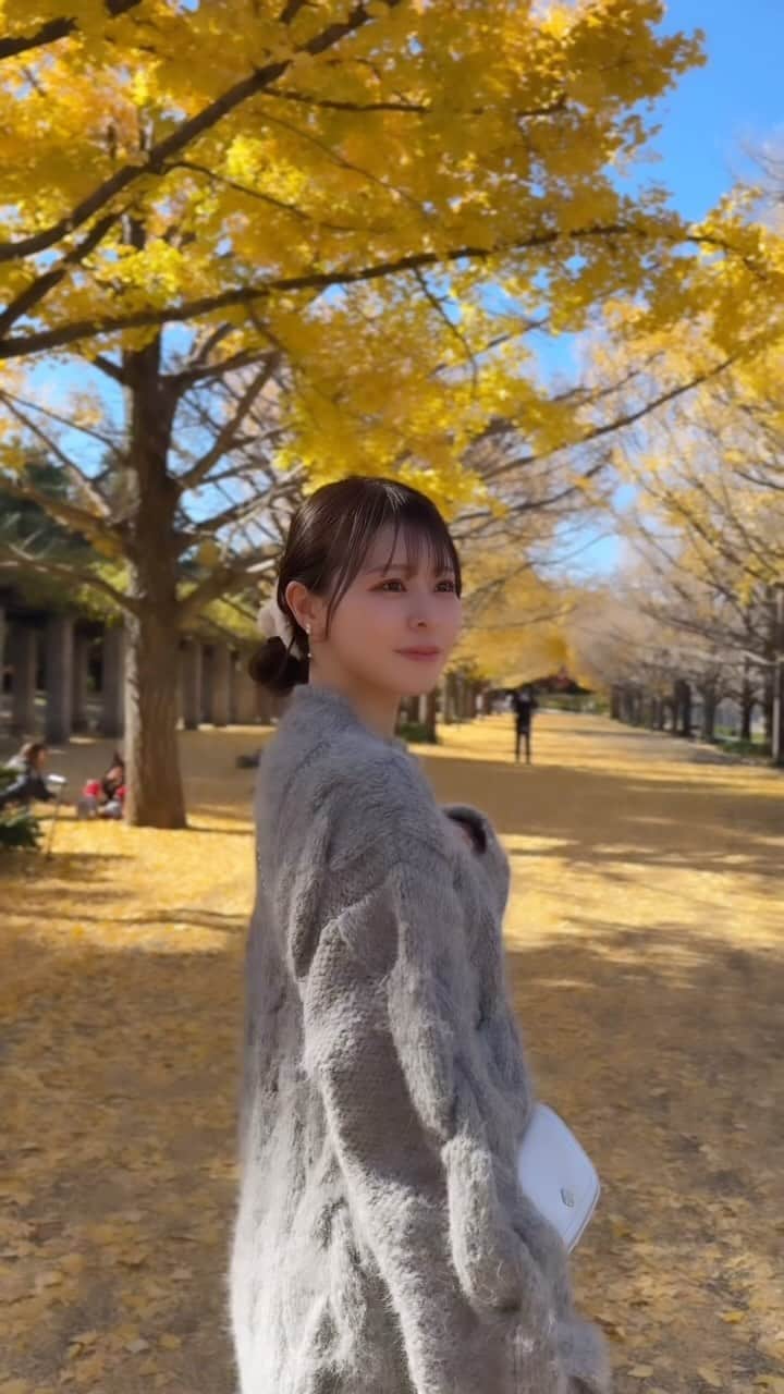 工藤はるかのインスタグラム：「散りかけで地面一面が黄色くなっていた.🍋💛  この日のコーデお気に入り♡  knit @casa_fline  pants @olu.myself  bag @shopheeari  hair clip @snidel_official」