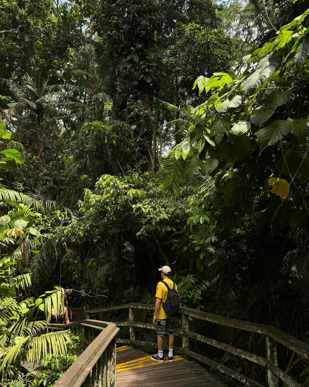 マルク・マルケスさんのインスタグラム写真 - (マルク・マルケスInstagram)「Ubud🐒」12月8日 21時53分 - marcmarquez93