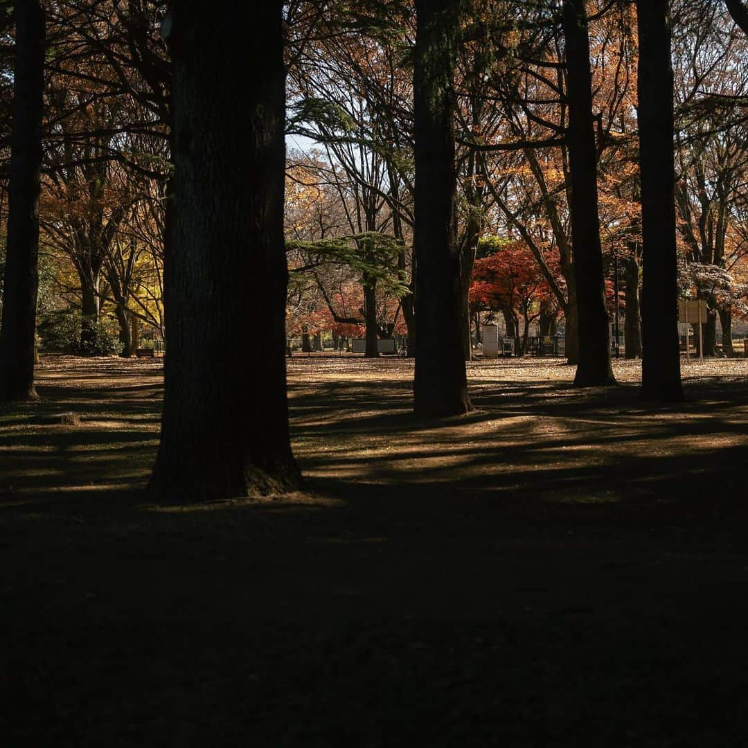 市川渚さんのインスタグラム写真 - (市川渚Instagram)「. . Ordinary days in Tokyo  #NikonZf #nikkorz40mmf2 #nikoncreators」12月8日 21時47分 - nagiko