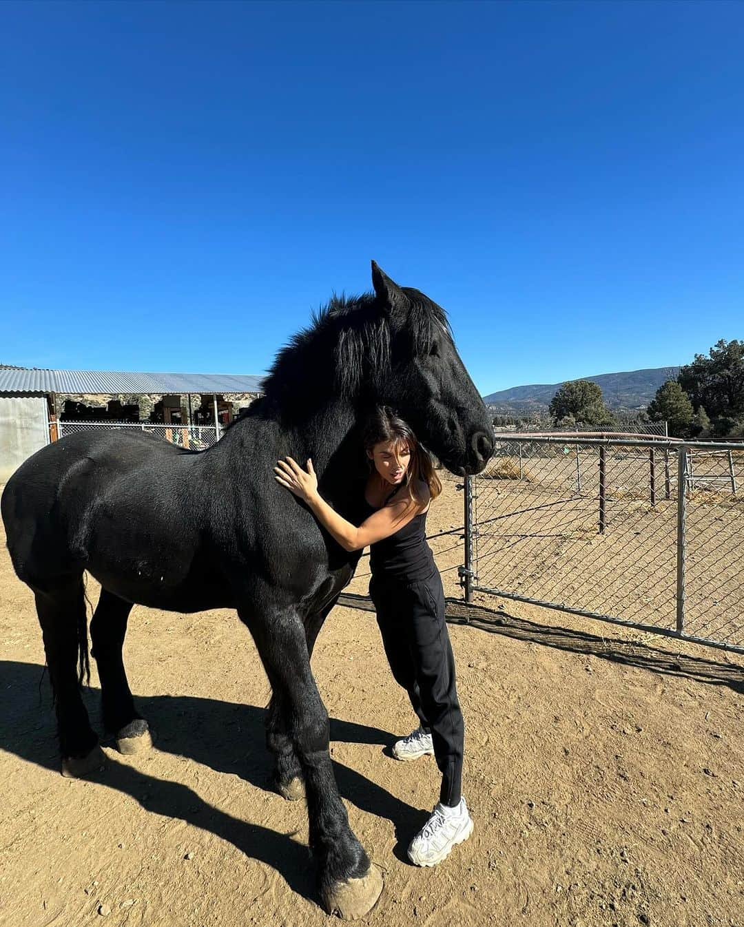 エリザベッタ・カナリスさんのインスタグラム写真 - (エリザベッタ・カナリスInstagram)「This is the fourth or fifth time I came here , at about 2 hours from Los Angeles.  I can’t describe the joy and the inner peace I find in this place  with Dr Lorin  Lindner and the animals  she  and The Lockwood Animal Rescue Center (LARC) saved from hunters, road circus , fur farms ,from breeders of wolves  and exotic animals. These acres were purchased  by Mr. Bob Barker and Nancy Burnet and LARC ‘ s mission is to create  a therapeutic work environment for the  returning combat veterans and a forever home for wolves, wolfdogs, coyotes, foxes, raccoons, skunks, horses, parrots and other animals.  I was able to see my friend Huy , a big wolf who is one of the most powerful and beautiful creature I’ve ever seen, (after several times that I tried) I was able to touch a red fox with a genetic mutation , Silver ( I looooove foxes so so  much), I met  a sweet and lazy raccoon, a beautiful horse and obviously many wolves.  Thank you Lorin for being so passionate and for dedicating your life to save their lives ❤️」12月8日 22時00分 - littlecrumb_