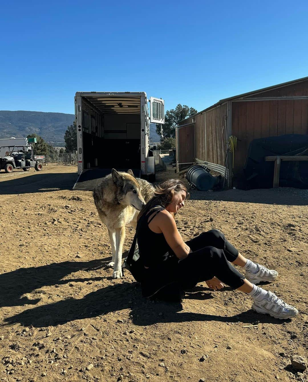 エリザベッタ・カナリスさんのインスタグラム写真 - (エリザベッタ・カナリスInstagram)「This is the fourth or fifth time I came here , at about 2 hours from Los Angeles.  I can’t describe the joy and the inner peace I find in this place  with Dr Lorin  Lindner and the animals  she  and The Lockwood Animal Rescue Center (LARC) saved from hunters, road circus , fur farms ,from breeders of wolves  and exotic animals. These acres were purchased  by Mr. Bob Barker and Nancy Burnet and LARC ‘ s mission is to create  a therapeutic work environment for the  returning combat veterans and a forever home for wolves, wolfdogs, coyotes, foxes, raccoons, skunks, horses, parrots and other animals.  I was able to see my friend Huy , a big wolf who is one of the most powerful and beautiful creature I’ve ever seen, (after several times that I tried) I was able to touch a red fox with a genetic mutation , Silver ( I looooove foxes so so  much), I met  a sweet and lazy raccoon, a beautiful horse and obviously many wolves.  Thank you Lorin for being so passionate and for dedicating your life to save their lives ❤️」12月8日 22時00分 - littlecrumb_