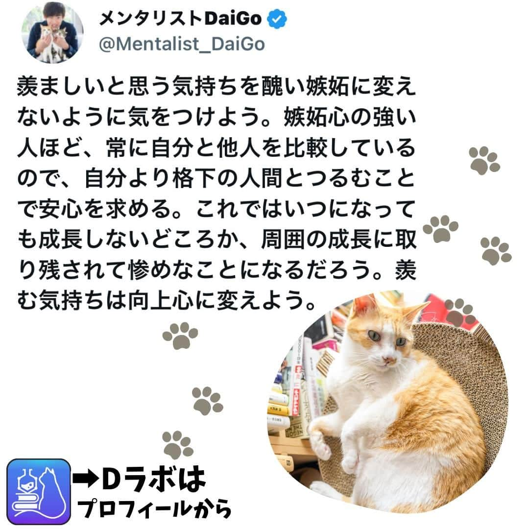 メンタリストDaiGoさんのインスタグラム写真 - (メンタリストDaiGoInstagram)「🐈本日の名言📚 プロフィールからDラボもみてね  #心理学 #メンタリスト #dラボ  #dラボはプロフィールから」12月8日 22時00分 - mentalistdaigo