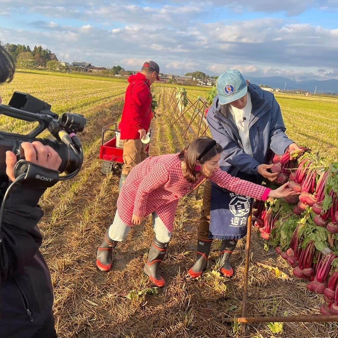 石田靖さんのインスタグラム写真 - (石田靖Instagram)「テレビ大阪⑦『発見‼️食遺産』ロケ ゲストの神田愛花さんと滋賀県米原市&多賀町 で食遺産探し〜👀 どんなレシピと出逢ったのか⁉️OAお楽しみに #テレビ大阪 #発見食遺産 #米原グルメ #伊吹山 #三島池 #伊吹果樹組合 #朝妻筑摩 #赤かぶ #多賀町グルメ #多賀神社 #多賀や #糸切り餅 #多賀にんじん  #神田愛花 #石田靖 #一期一笑」12月8日 13時39分 - yasulog