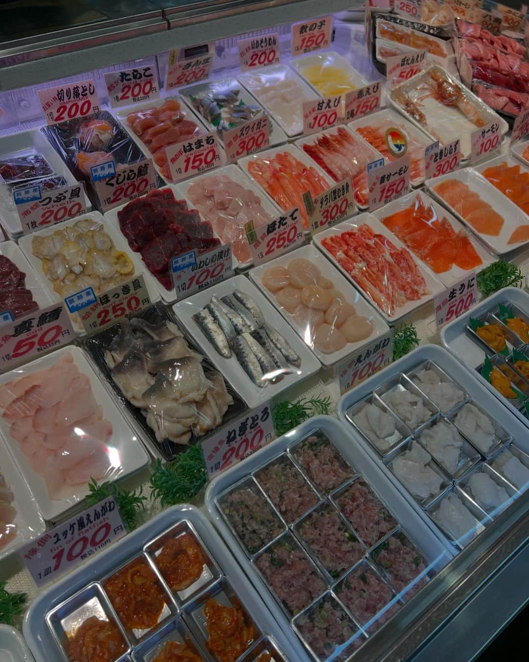 トミックさんのインスタグラム写真 - (トミックInstagram)「釧路の市場🐟  #トミック  #tomikkunet #youtuber  #youtuber好きな人と繋がりたい  #料理  #料理好きな人と繋がりたい  #japanese  #cooking #海鮮丼 #北海道  #北海道グルメ  #釧路  #和商市場  #寿司 #寿司屋  23.12.08」12月8日 13時49分 - tomikkunet