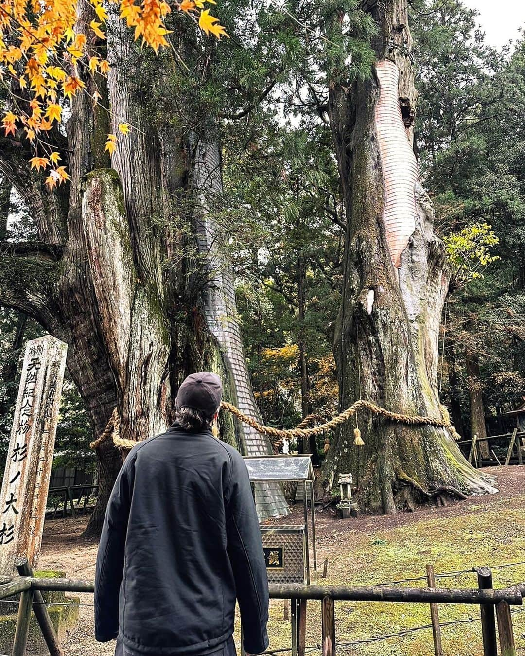 エバンズマラカイ(マラチ)さんのインスタグラム写真 - (エバンズマラカイ(マラチ)Instagram)「マラチの四国旅行ベストショットたち📸  詰め込んだけど、４日じゃ足りないな、、 良き島。また行きたいな！  Photos by mum & dad」12月8日 14時43分 - bigmalachi