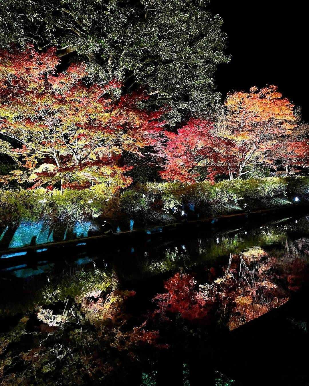 百合華さんのインスタグラム写真 - (百合華Instagram)「世界遺産京都東寺の紅葉ライトアップ＆夜間特別拝観タイム🍁🍁🍁  #worldheritagejapan   #世界遺産真言宗総本山東寺   広い境内では色鮮やかな沢山のもみじ達がライトアップされていて芸術的な秋の風景を愉しむ事が出来ました✨  #夜間特別拝観ライトアップ  五重塔＆紅葉がお堀に映し出されとっても神秘的な空間に大感動で御座いました🧚💕  #神秘的で幻想的なスポット   重要文化財なお堂には国宝級な沢山の仏像が鎮座なされ荘厳で神々しい雰囲気に古都京都の歴史深さを感じました💖  #歴史的建造物にロマンを感じる系女子   #japan #日本 #kyoto  #京都 #五重塔 #京都東寺 #歴史的景観  #世界遺産巡り #お堀に映る紅葉  #紅葉ライトアップ #五重塔ライトアップ  #京都紅葉ライトアップ  #風情溢れる夜の美観地区  #世界遺産はやっぱりすごい」12月8日 15時22分 - yurika.lovelily