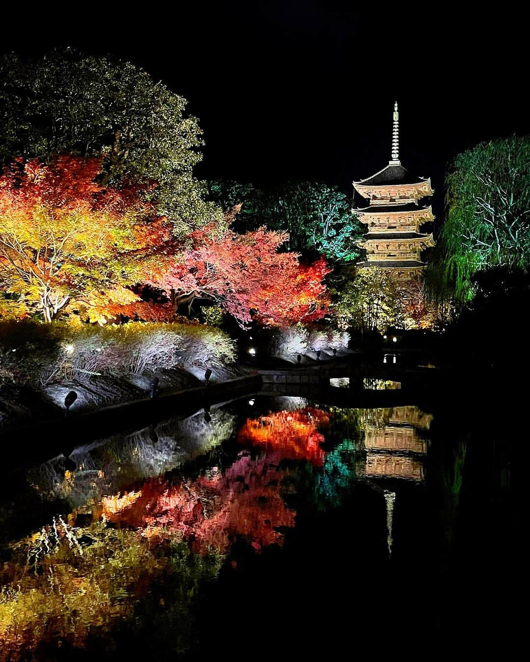 百合華のインスタグラム：「世界遺産京都東寺の紅葉ライトアップ＆夜間特別拝観タイム🍁🍁🍁  #worldheritagejapan   #世界遺産真言宗総本山東寺   広い境内では色鮮やかな沢山のもみじ達がライトアップされていて芸術的な秋の風景を愉しむ事が出来ました✨  #夜間特別拝観ライトアップ  五重塔＆紅葉がお堀に映し出されとっても神秘的な空間に大感動で御座いました🧚💕  #神秘的で幻想的なスポット   重要文化財なお堂には国宝級な沢山の仏像が鎮座なされ荘厳で神々しい雰囲気に古都京都の歴史深さを感じました💖  #歴史的建造物にロマンを感じる系女子   #japan #日本 #kyoto  #京都 #五重塔 #京都東寺 #歴史的景観  #世界遺産巡り #お堀に映る紅葉  #紅葉ライトアップ #五重塔ライトアップ  #京都紅葉ライトアップ  #風情溢れる夜の美観地区  #世界遺産はやっぱりすごい」