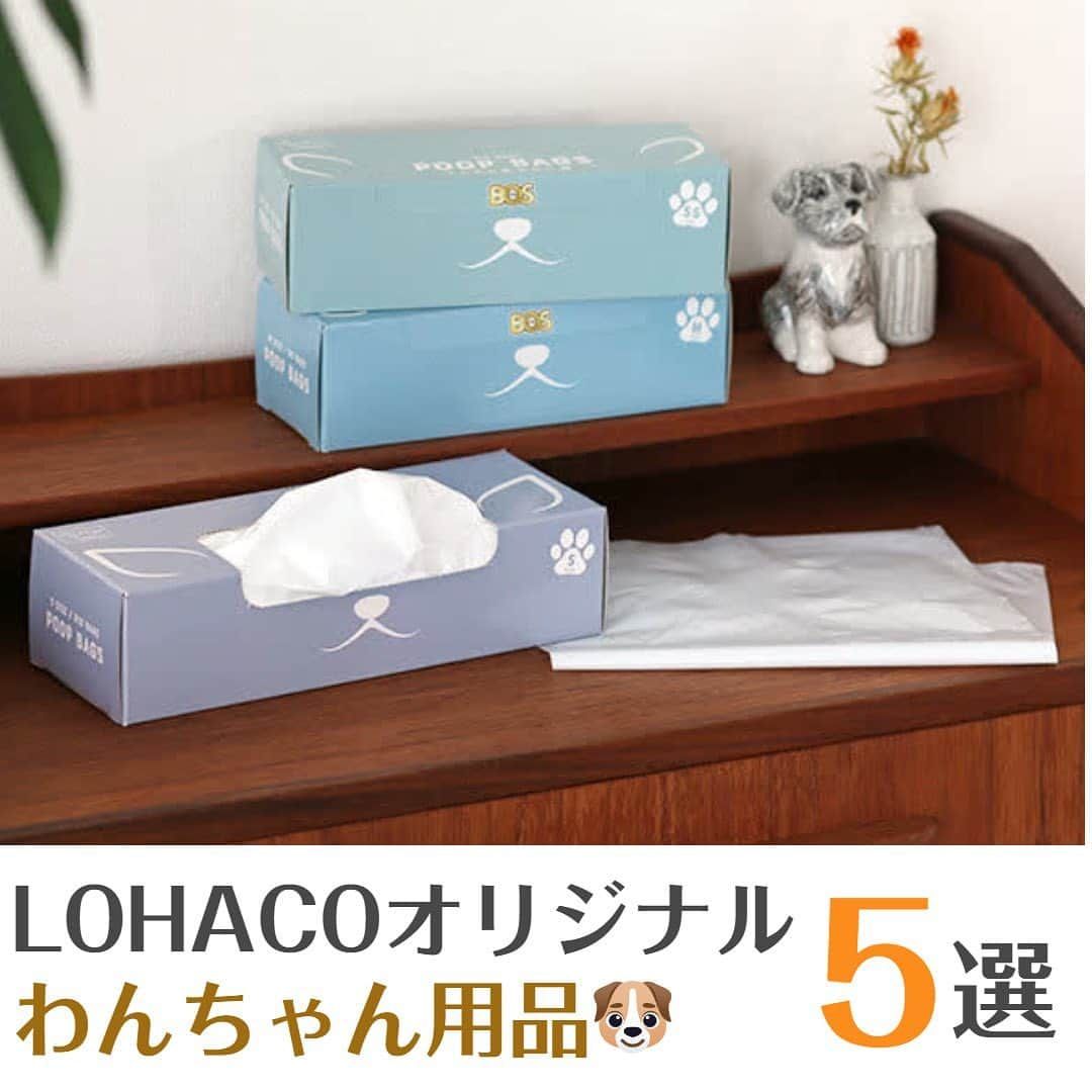 LOHACO（ロハコ）のインスタグラム：「＼LOHACOオリジナル！わんちゃん用品🐶❤️／   ロハコ限定デザインの「うんちが臭わない袋　BOS」「プリジア冬デザイン」が新登場です！   ★うんちが臭わない袋　BOS とっても可愛いデザインで、BOXの背面にはしっぽもついているんです♪ うんちの臭いも菌も通さない驚異の防臭袋BOSで、快適＆安心なペットとの暮らしをサポートします。   ★プリジア冬デザイン 今年の冬デザインもかわいくなりました♪ 細菌、ウィルスのタンパク源を直接分解消滅させるので、二度拭き要らず！とってもラクチンにお掃除ができます。 ペットが舐めても、手足に直接かけても、人の手肌にかかっても安全です！   そして！新商品のご紹介と一緒に… ロハコ限定わんちゃん用品を色々集めてみました！ 見たこと、使ったことのない方は是非一度お試しください♪   大切なわんちゃんとの生活には必需品のペット用品たちが、かわいいデザインに変身しています✨   気になるアイテムがあった方は ストーリーズのリンクから確認できます！ もしくは、LOHACOで各商品名で検索してみてくださいね♪  ※一部地域で在庫切れの商品がございます。予めご了承ください。    ＿＿＿＿＿＿＿＿＿＿＿＿＿＿   ▼Instagramで紹介した写真の詳細は プロフィール @lohaco.jp から♪   ▼商品のURLはこちら https://685.jp/46DnDnw   ＿＿＿＿＿＿＿＿＿＿＿＿＿＿＿     #プレゼント #ペット #いぬすたぐらむ #いぬのいる暮らし #ギフト #犬のおやつ #ペットシーツ #うんち袋 #防臭袋 #オリジナル商品 #ロハコ限定 #LOHACO限定 #ロハコ限定デザイン #lohaco限定デザイン #暮らし #くらし #ロハコ #LOHACO #askul #アスクル」