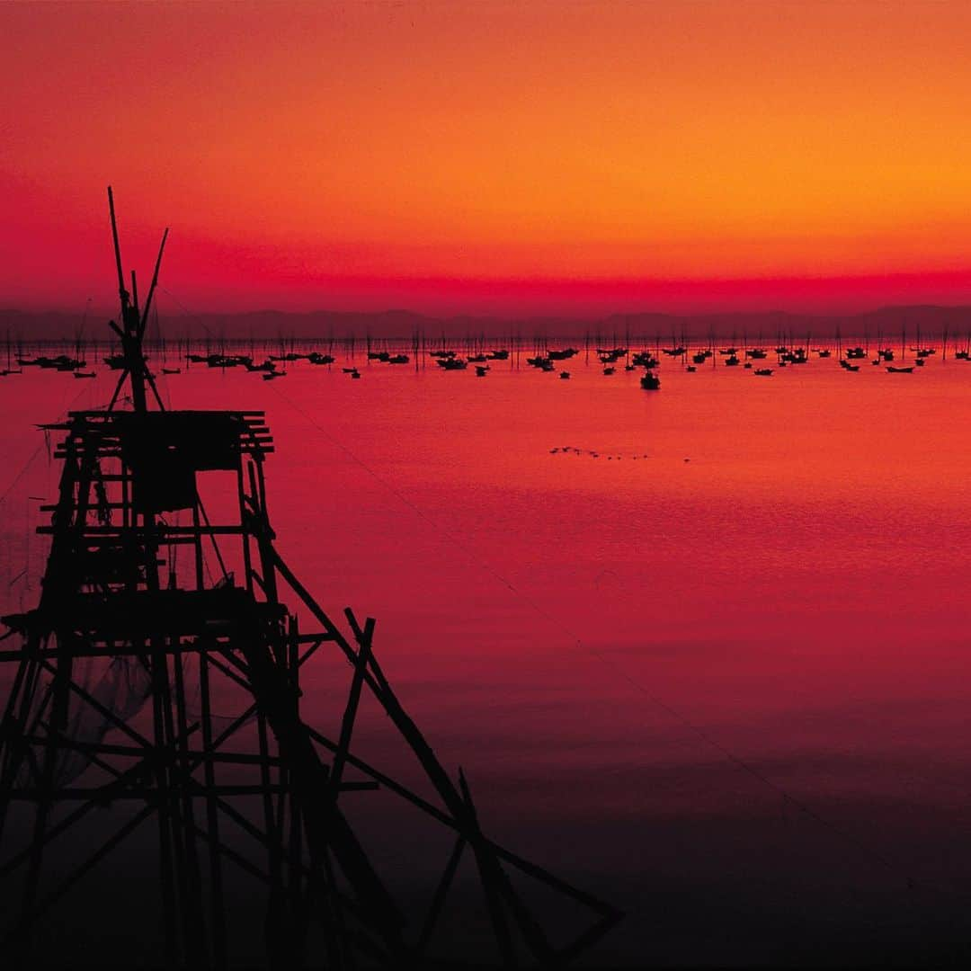 九州電力さんのインスタグラム写真 - (九州電力Instagram)「夕日に映える有明海の絶景✨ . ----------------------------------------------- 🌇行ってみたい！と思った方は【保存】をしてね🌊 ----------------------------------------------- . 世界有数の干満差を誇り日本有数の海苔の生産量を誇る有明海では、秋から冬にかけて海に浮かぶ海苔棚の風景を見ることができます。  夜明けや夕陽に照らされ、海苔棚と支柱のシルエットが浮かび上がる光景は、有明海ならではの美しい風景です。 . ※写真提供：一般社団法人佐賀県観光連盟 ※写真は過去に撮影されたものです。  お届けする九州の風景が、皆さまの元気や癒しになれば幸いです☘️  #九州電力 #佐賀 #有明海 #海 #朝日 #夕陽 #夕日 #海苔 #海岸 #海苔棚 #海苔養殖 #佐賀観光 #佐賀旅行」12月8日 17時00分 - kyuden_official