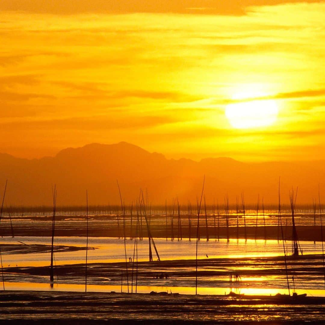 九州電力さんのインスタグラム写真 - (九州電力Instagram)「夕日に映える有明海の絶景✨ . ----------------------------------------------- 🌇行ってみたい！と思った方は【保存】をしてね🌊 ----------------------------------------------- . 世界有数の干満差を誇り日本有数の海苔の生産量を誇る有明海では、秋から冬にかけて海に浮かぶ海苔棚の風景を見ることができます。  夜明けや夕陽に照らされ、海苔棚と支柱のシルエットが浮かび上がる光景は、有明海ならではの美しい風景です。 . ※写真提供：一般社団法人佐賀県観光連盟 ※写真は過去に撮影されたものです。  お届けする九州の風景が、皆さまの元気や癒しになれば幸いです☘️  #九州電力 #佐賀 #有明海 #海 #朝日 #夕陽 #夕日 #海苔 #海岸 #海苔棚 #海苔養殖 #佐賀観光 #佐賀旅行」12月8日 17時00分 - kyuden_official