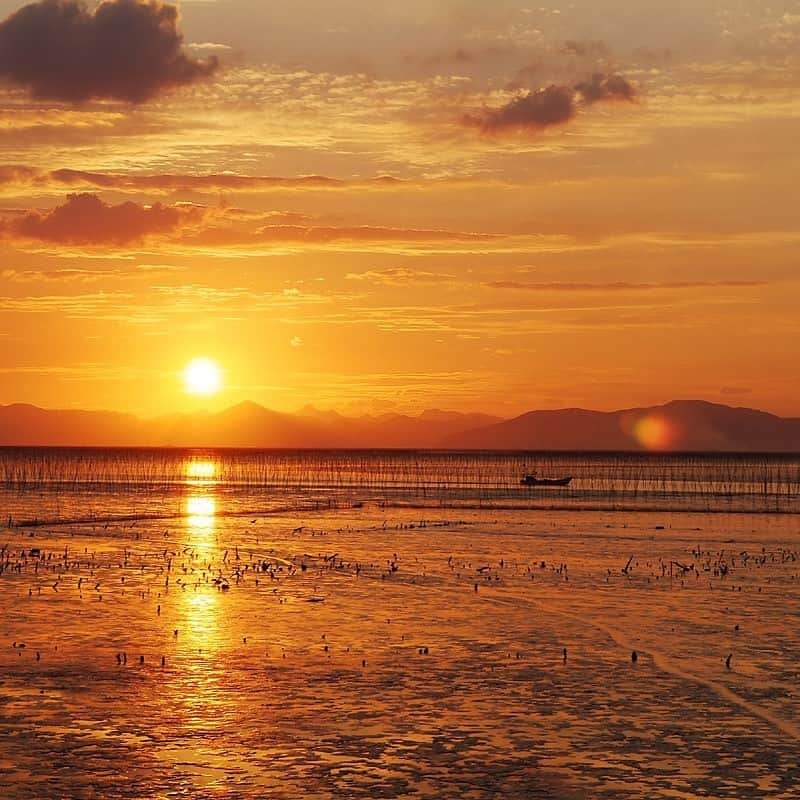 九州電力さんのインスタグラム写真 - (九州電力Instagram)「夕日に映える有明海の絶景✨ . ----------------------------------------------- 🌇行ってみたい！と思った方は【保存】をしてね🌊 ----------------------------------------------- . 世界有数の干満差を誇り日本有数の海苔の生産量を誇る有明海では、秋から冬にかけて海に浮かぶ海苔棚の風景を見ることができます。  夜明けや夕陽に照らされ、海苔棚と支柱のシルエットが浮かび上がる光景は、有明海ならではの美しい風景です。 . ※写真提供：一般社団法人佐賀県観光連盟 ※写真は過去に撮影されたものです。  お届けする九州の風景が、皆さまの元気や癒しになれば幸いです☘️  #九州電力 #佐賀 #有明海 #海 #朝日 #夕陽 #夕日 #海苔 #海岸 #海苔棚 #海苔養殖 #佐賀観光 #佐賀旅行」12月8日 17時00分 - kyuden_official