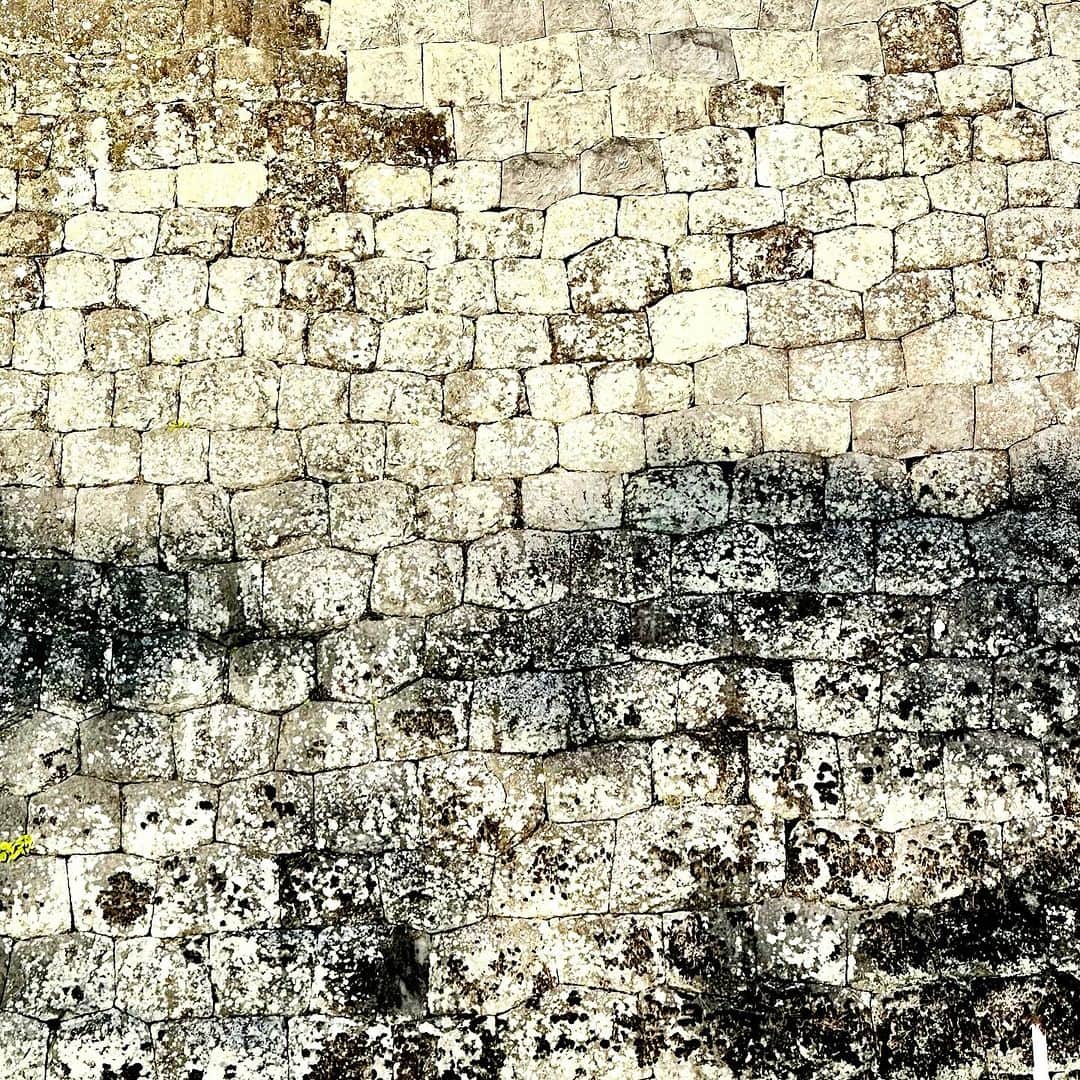 武井義明さんのインスタグラム写真 - (武井義明Instagram)「駿府城の石垣って精緻ですごく綺麗だと思う。ずっとここが通学路でした。」12月8日 16時43分 - bebechef