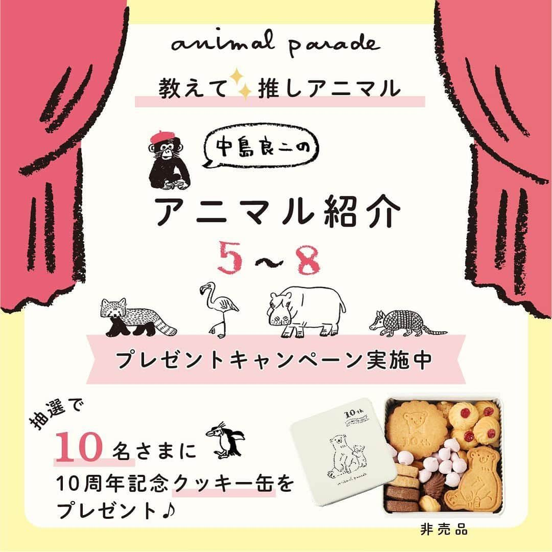 RYU-RYUのインスタグラム：「【アニマルパレード10周年プレゼントキャンペーン受付中！】 . こんばんは！ . 「アニマルパレード」シリーズ10周年 記念プレゼントキャンペーン 『教えて☆推しアニマル』への たくさんのご応募ありがとうございます！ . キャンペーンはまだまだ応募受付中！ 締め切りまでまだ日にちがありますので 今はじめてこのキャンペーンを知ったよ！ という方のために、 アニマルパレードの”生みの親” 絵描き・中島良二がエントリーアニマル16種類を 毎週末、4回にわたってご紹介します🎤 . 第2回目の今日は エントリーNo.5からNo.8のアニマルたちです。 中島画伯による紹介を参考にしながら ぜひご応募くださいね😊 . 応募はリュリュ公式アカウント @ryuryu_zakka から 「キャンペーン応募ページ」の投稿にアクセスしてね🔍 (👇応募方法、注意事項のご確認もお忘れなく👇) . ■応募方法 ①RYU-RYUのアカウント @ryuryu_zakka と 中島良二のアカウント @ryoji_nakajima_osakaをフォロー . ②「キャンペーン応募ページ」の投稿に アクセスして、 16種類のアニマルの中から あなたが選ぶ「イチ推しアニマル」を1種類選んで この投稿のコメント欄に「番号」と「アニマルの名前」をコメントしてください。 . コメントしてくれた応募者の中から 抽選で10名様に 「10周年記念クッキー缶」をプレゼント！ アニマルパレード10周年記念の オリジナルクッキー缶に 神戸のお菓子屋さん 「LE PONT」 @lepont_haru さんの クッキーがぎっしり詰まった 豪華コラボレーションのクッキー缶、 今回のためだけの非売品レアアイテムです🎁 10周年ロゴ入りクッキーとシロクマのクッキーも 1枚ずつ入っています🐻‍❄️ . ■応募締め切り 2024年1月10日（水） . ■当選のご連絡 2024年1月末頃（予定） ご当選者様には当アカウントより当選通知のDMをお送りいたします。 . ■応募条件＆注意事項 ▪︎公開アカウントにてご応募ください。アカウント非公開の場合は抽選対象となりません。 ▪︎ご応募はお一人様1回限りとなります。 ▪︎期間終了後に抽選を行い、当選者の方にのみ当選通知のDMをお送りします。 ▪︎アカウント上での当選者発表は行いません。また、抽選結果のお問い合わせにはお答えできませんのでご了承ください。 ▪︎当選者の個人情報はプレゼント発送時の使用のみとし、第三者に掲示、提供することはありません。 ▪︎当選のご連絡後、1週間以内にご返信がない場合、当選が無効となります。 ▪︎発送の都合上、プレゼントの発送は日本国内のみとさせていただきます。 ▪︎プレゼントの発送において、記載いただいた情報に不備がある場合や、配達期間内にお受け取りいただけない場合は、当選が無効となります。 ▪︎クッキーのアレルギー成分（一部に小麦・乳成分・アーモンド・卵・大豆を含む）をご確認の上、ご応募ください。 ▪︎ クッキー原材料：小麦粉（国内製造）、バター、砂糖、アーモンド、卵、ココナッツ、ココア、ヘーゼルナッツ。チョコレート、牛乳、シナモン、フランボワーズ、いちご、塩／乳化剤、安定剤（ペクチン）※一部に小麦・乳成分・アーモンド・卵・大豆を含む ▪︎ 掲載画像はサンプルの為、クッキーの種類等 内容に一部変更が生じる場合がございます。 ▪︎プレゼントの返品・交換はできません。 ▪︎プレゼントは丁寧に梱包・発送いたしますが、クッキーにつきましては輸送中に欠け・割れが生じる場合がございます。予めご了承ください。 . #リュリュ #ryuryu #アニマルパレード #アニパレ #アニパレ10周年 #おかげさまで10周年 #中島良二 #アニマル #推し #推しアニマル #文具 #ステーショナリー #動物 #どうぶつ #イラスト #プレゼント #キャンペーン #10周年記念企画 #クッキー #クッキー缶 #焼き菓子 #クッキー詰め合わせ」