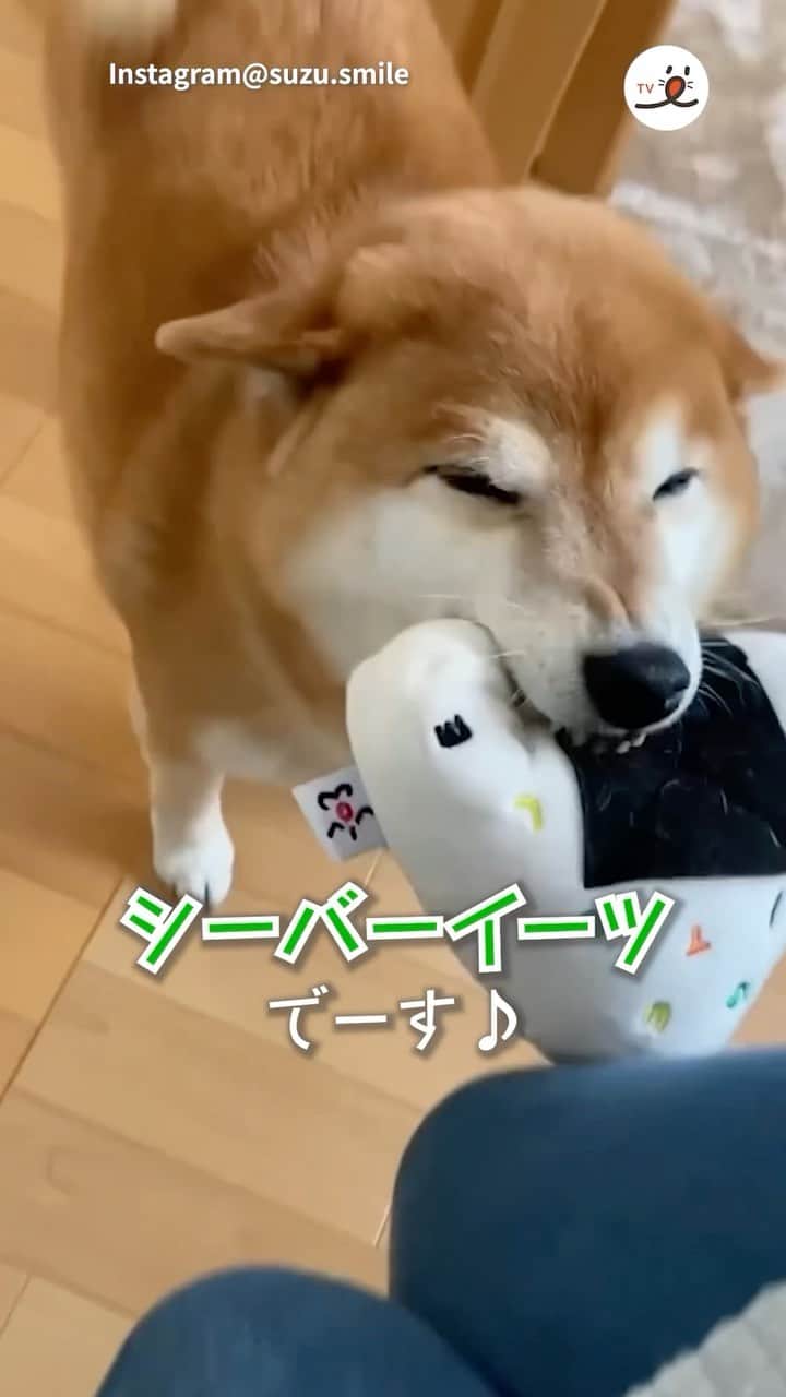 PECO いぬ部のインスタグラム