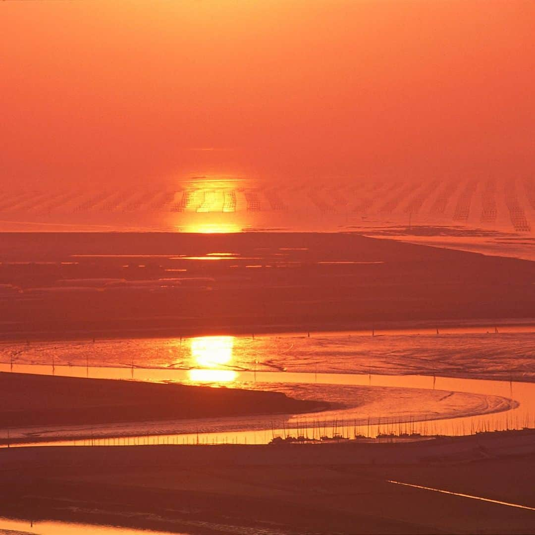 九州電力のインスタグラム：「夕日に映える有明海の絶景✨ . ----------------------------------------------- 🌇行ってみたい！と思った方は【保存】をしてね🌊 ----------------------------------------------- . 世界有数の干満差を誇り日本有数の海苔の生産量を誇る有明海では、秋から冬にかけて海に浮かぶ海苔棚の風景を見ることができます。  夜明けや夕陽に照らされ、海苔棚と支柱のシルエットが浮かび上がる光景は、有明海ならではの美しい風景です。 . ※写真提供：一般社団法人佐賀県観光連盟 ※写真は過去に撮影されたものです。  お届けする九州の風景が、皆さまの元気や癒しになれば幸いです☘️  #九州電力 #佐賀 #有明海 #海 #朝日 #夕陽 #夕日 #海苔 #海岸 #海苔棚 #海苔養殖 #佐賀観光 #佐賀旅行」