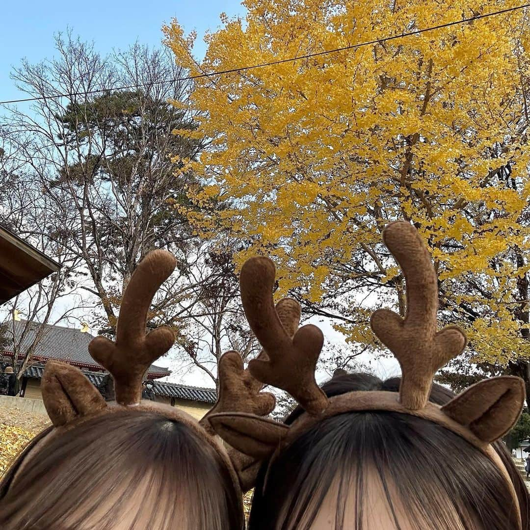 あみさんのインスタグラム写真 - (あみInstagram)「︴🦌🍂  w / @miyuyun727 🤍  商店街でたまたま見つけたガチャガチャでげっとした 可愛い鹿ちゃんのバッチ🫶🏻’-  楽しかったなあ~ また行こうね~ (՞ . .՞)♡  . . .  #奈良 #奈良観光 #奈良旅行 #奈良公園 #秋コーデ #冬コーデ #淡色コーデ #低身長コーデ #ブラウンコーデ」12月8日 17時10分 - ami___nmo