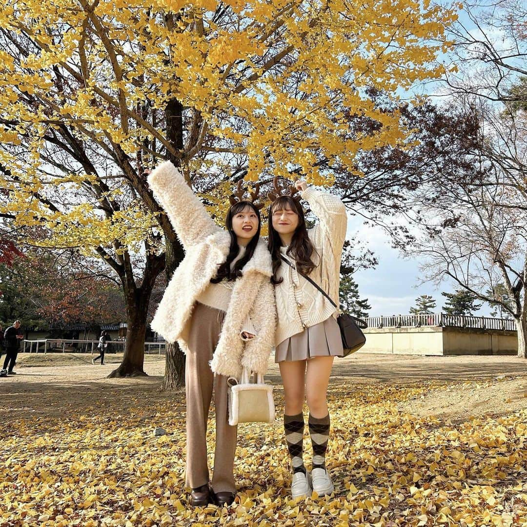 あみさんのインスタグラム写真 - (あみInstagram)「︴🦌🍂  w / @miyuyun727 🤍  商店街でたまたま見つけたガチャガチャでげっとした 可愛い鹿ちゃんのバッチ🫶🏻’-  楽しかったなあ~ また行こうね~ (՞ . .՞)♡  . . .  #奈良 #奈良観光 #奈良旅行 #奈良公園 #秋コーデ #冬コーデ #淡色コーデ #低身長コーデ #ブラウンコーデ」12月8日 17時10分 - ami___nmo