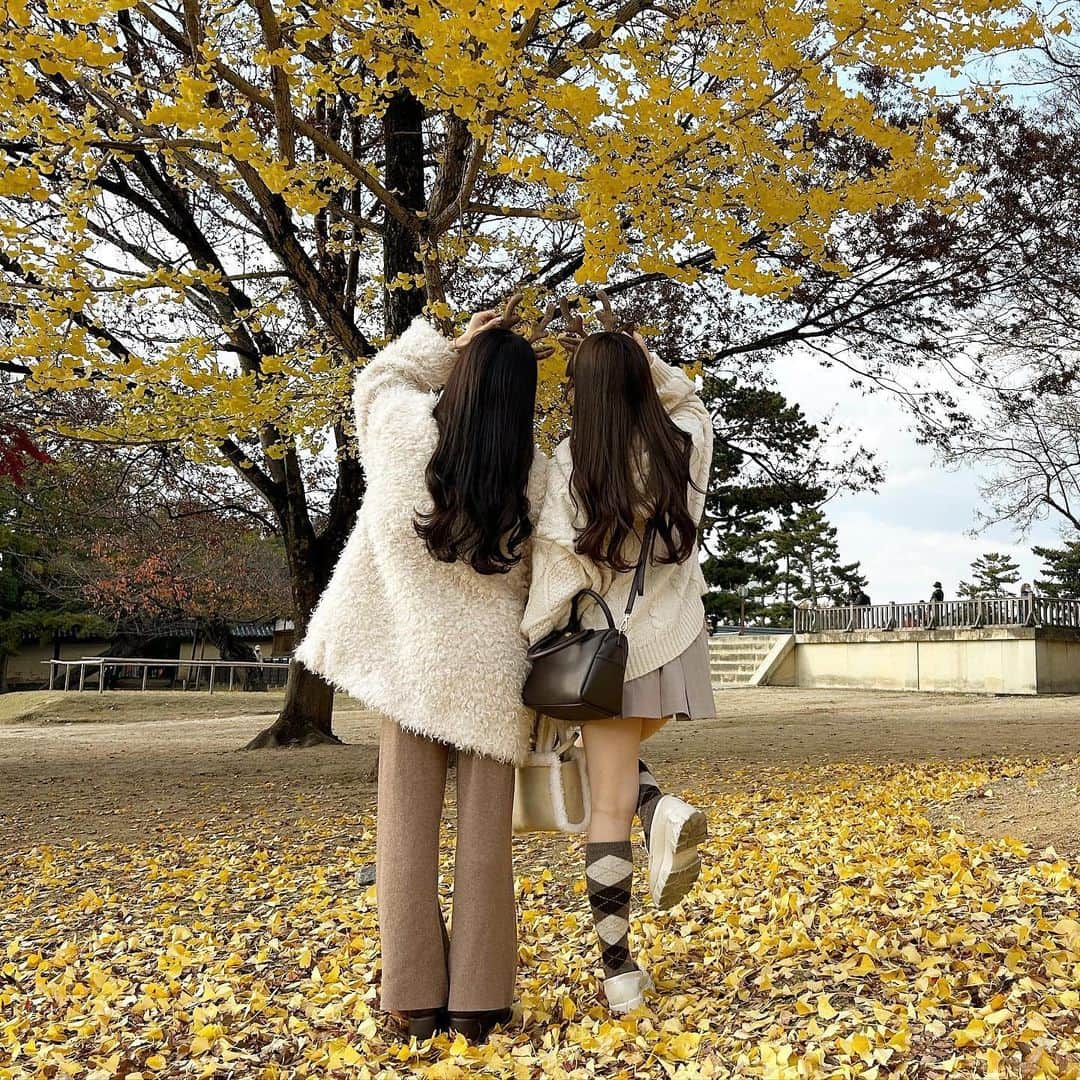 あみさんのインスタグラム写真 - (あみInstagram)「︴🦌🍂  w / @miyuyun727 🤍  商店街でたまたま見つけたガチャガチャでげっとした 可愛い鹿ちゃんのバッチ🫶🏻’-  楽しかったなあ~ また行こうね~ (՞ . .՞)♡  . . .  #奈良 #奈良観光 #奈良旅行 #奈良公園 #秋コーデ #冬コーデ #淡色コーデ #低身長コーデ #ブラウンコーデ」12月8日 17時10分 - ami___nmo