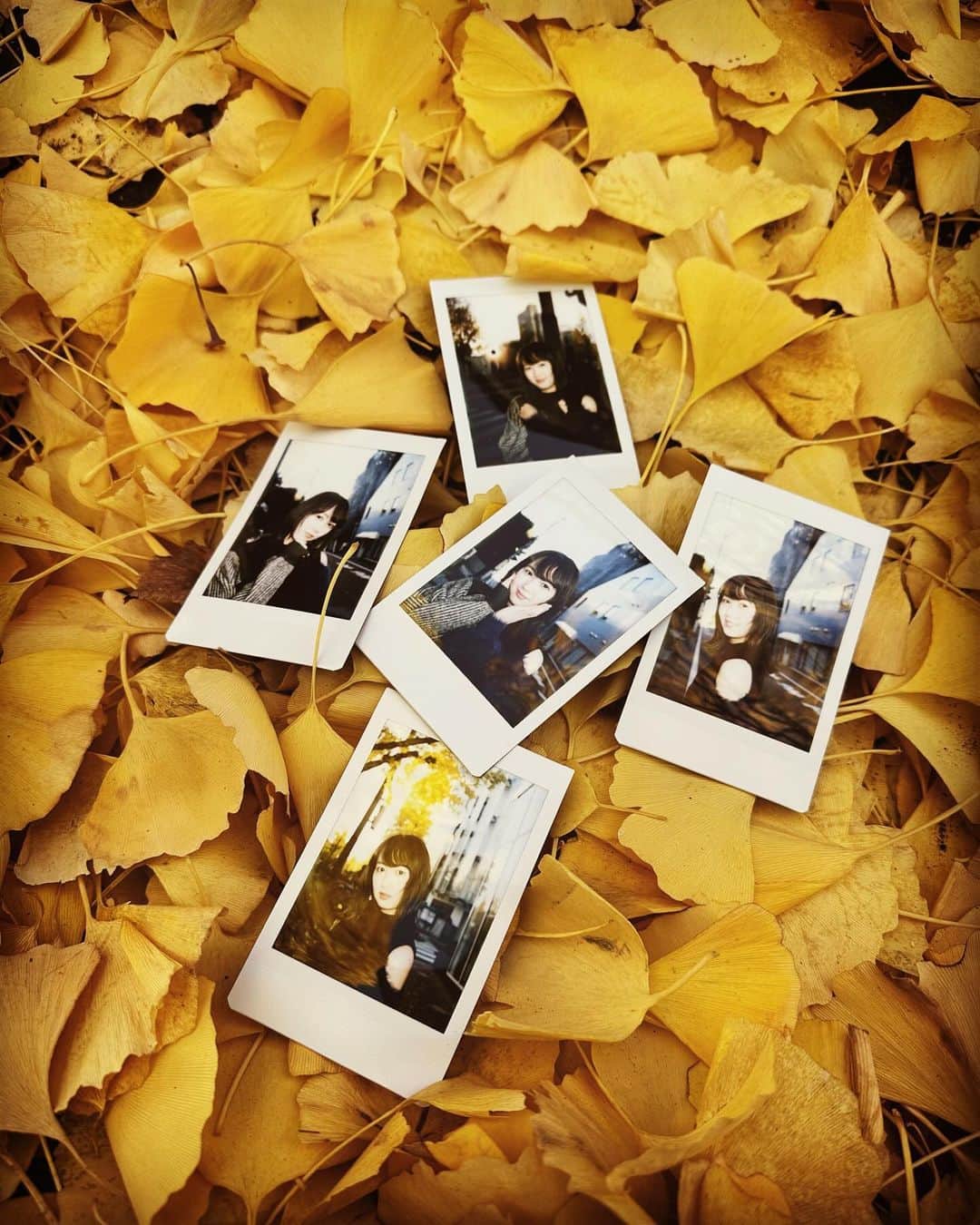 永島聖羅のインスタグラム：「🍁  カレンダーに付くチェキを 撮りまくってきました📷  12/16のお渡し会が とっても楽しみです〜  久しぶりに皆さんと会えると思うと ワクワクしちゃいます✨  12/12がお渡し会受付の締切なので まだの方はお早めに〜！」