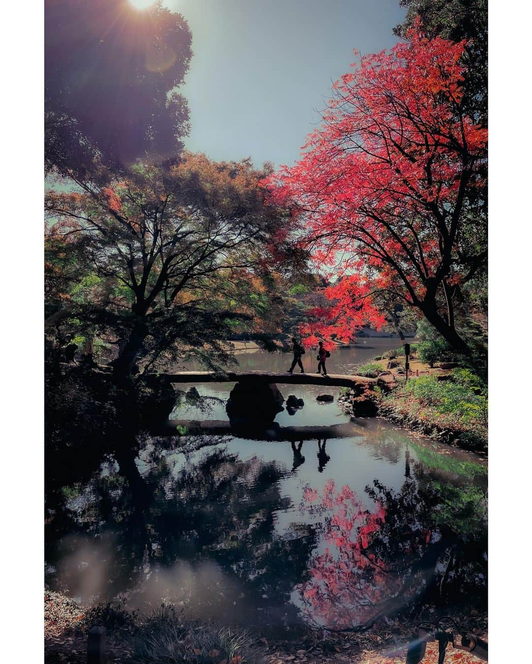 kazhixのインスタグラム：「Tokyo Rhapsody  -Autumn leaves-  shot on iphone12  #ShotoniPhone #apple #instagram  #igersjp #HelloFrom Tokyo #ファインダー越しの私の世界  #tokyocameraclub #mst_photo #daily_photo_jpn #tokyoartsandculture #JapanCityBlues #TokyoTokyo #streetfinder #eyephotomagazine #cinema_streets  #urbanromantix #street_avengers #streetleaks #sublimestreet #streets_storytelling #storyofthestreet #streetsgrammer #streetmoment #voidtokyo  #streetgrammers #shadow_magazine #subshooters  #cinematicshine」