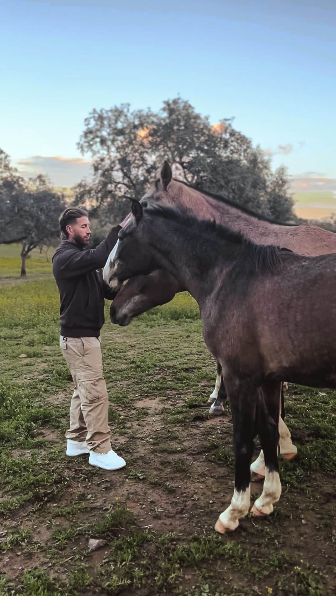 セルヒオ・ラモスのインスタグラム：「Una visita por El Rubio ✨💫  A visit to El Rubio ✨💫🐴  #YeguadaSR4 #SR4Horses」