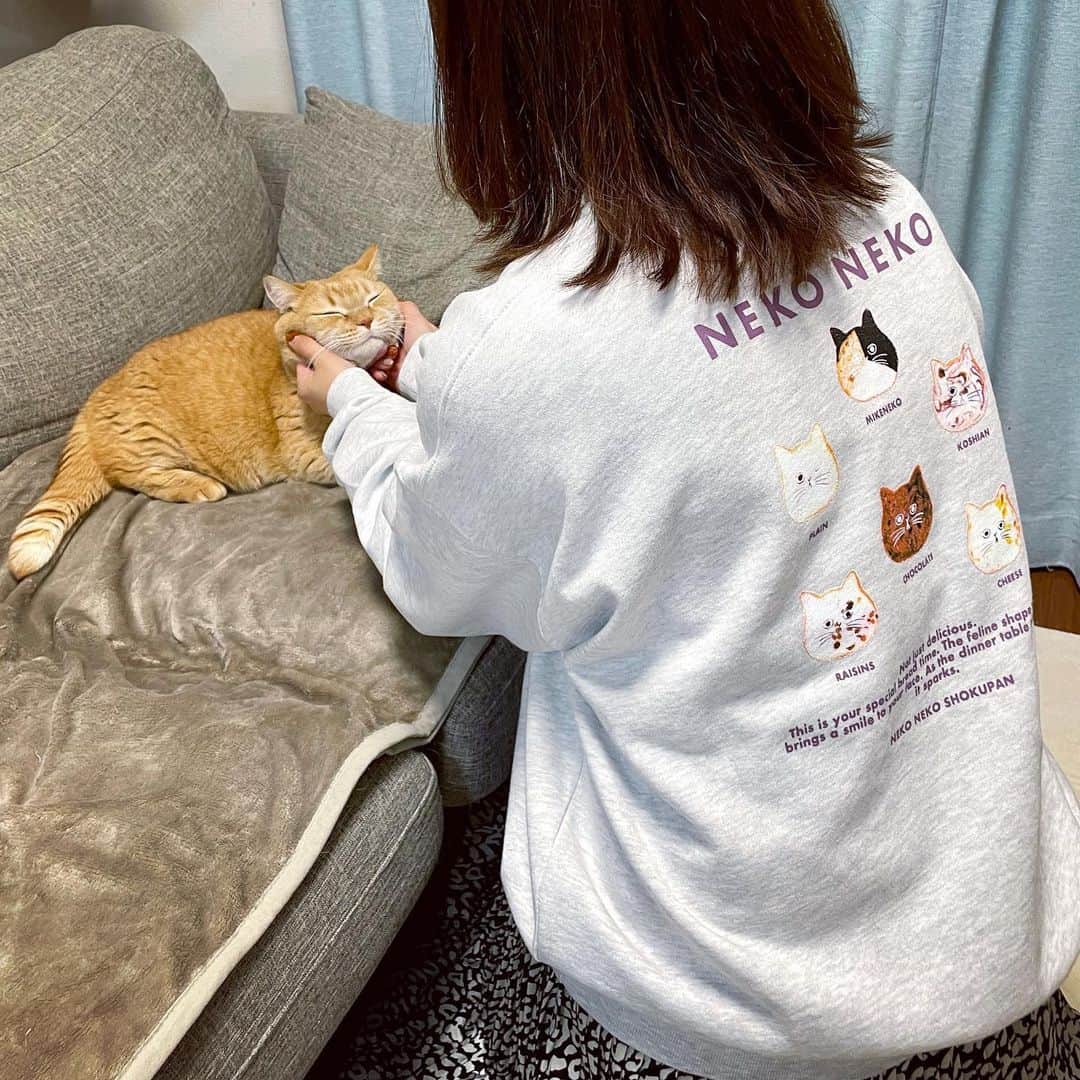 Purin_munchkincatさんのインスタグラム写真 - (Purin_munchkincatInstagram)「見てみて〜🥹✨ @publux_official 様から、PUBLUX× NEKO NEKO食パン( @nekoneko_shokupan )のコラボスウェットをプレゼントしていただきました😻 気になってた商品だったので嬉しい〜！ メル、もっと嬉しそうな顔して〜😂笑  前はワンポイントの黒猫ちゃん、そしてバックプリントにあのねこねこ食パンが😋 デザインももちろん可愛いし、裏起毛になっててあったかい！ ゆったり着られるメンズライクなサイズ感も気に入りました😆ちなみに着てるサイズはＳサイズです。 是非チェックしてみてね！  #ねこねこ食パン  #マンチカン #茶トラ #キジトラ #短足 #短足マンチカン #ねこ部 #cat #ilovecat #ふわもこ部 #にゃんすたぐらむ #ねこのいる生活 #猫好きさんと繋がりたい #PR」12月8日 17時45分 - purin_nyan