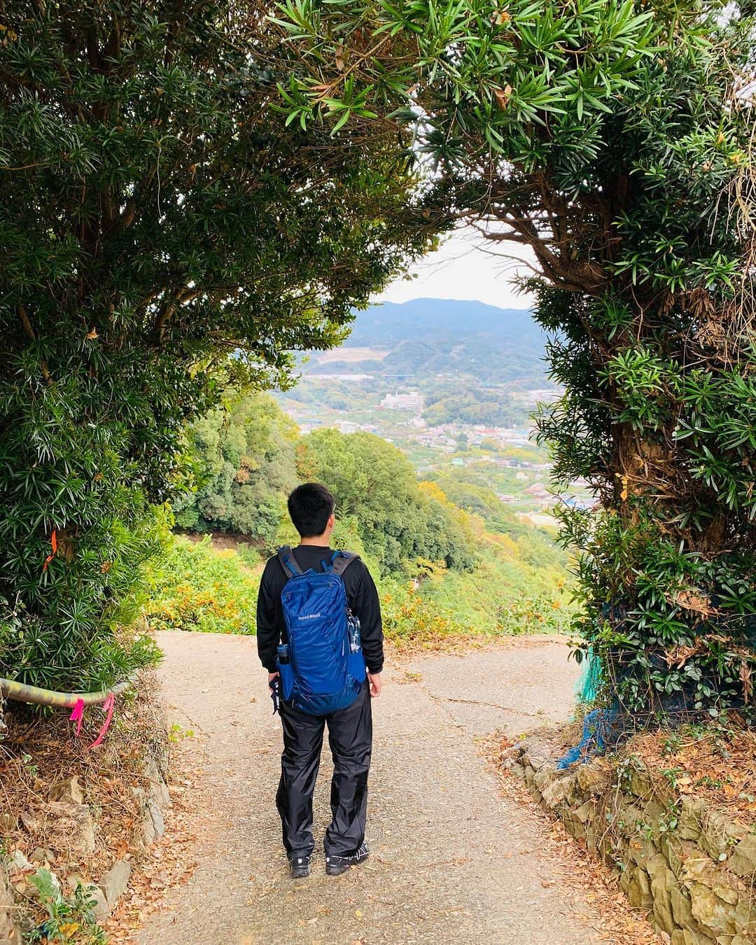 和みわかやまのインスタグラム：「. 明日の京都での出発式を皮切りに、合計で8回、熊野古道 紀伊路を歩くリレーウォークが開催されます🚶‍♀️🚶‍♂️みなさまのご参加、お待ちしております👏  📷：@arida.wakayama 📍：有田・日高エリア 有田市  和歌山の写真に #nagomi_wakayama のハッシュタグをつけて投稿いただくと、その中から素敵な写真をリポストします😉 . . . #和歌山 #和歌山観光 #和歌山旅行 #わかやま #和みわかやま #wakayama #wakayamajapan #wakayamatrip #wakayamatravel #nagomi_wakayama #wakayamagram #熊野古道 #熊野 #紀伊路 #ウォーキング #ハイキング #trekking #walking #kumano #kumanokodo #旅行 #国内旅行 #旅行好きな人と繋がりたい #観光 #travel #trip #travelgram #japan #travelphotography」